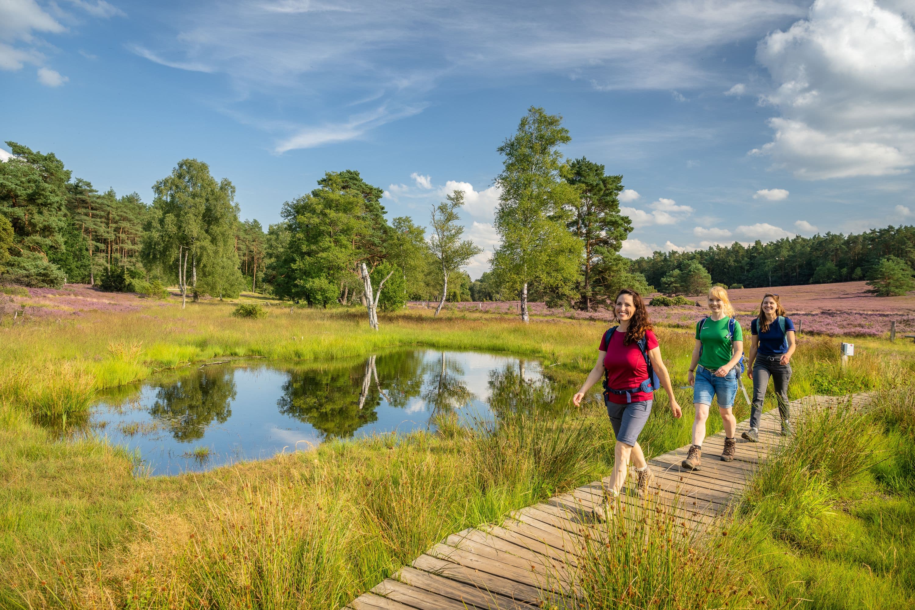 Büsenbachtal Handeloh wandern Heideblüte Nordheide