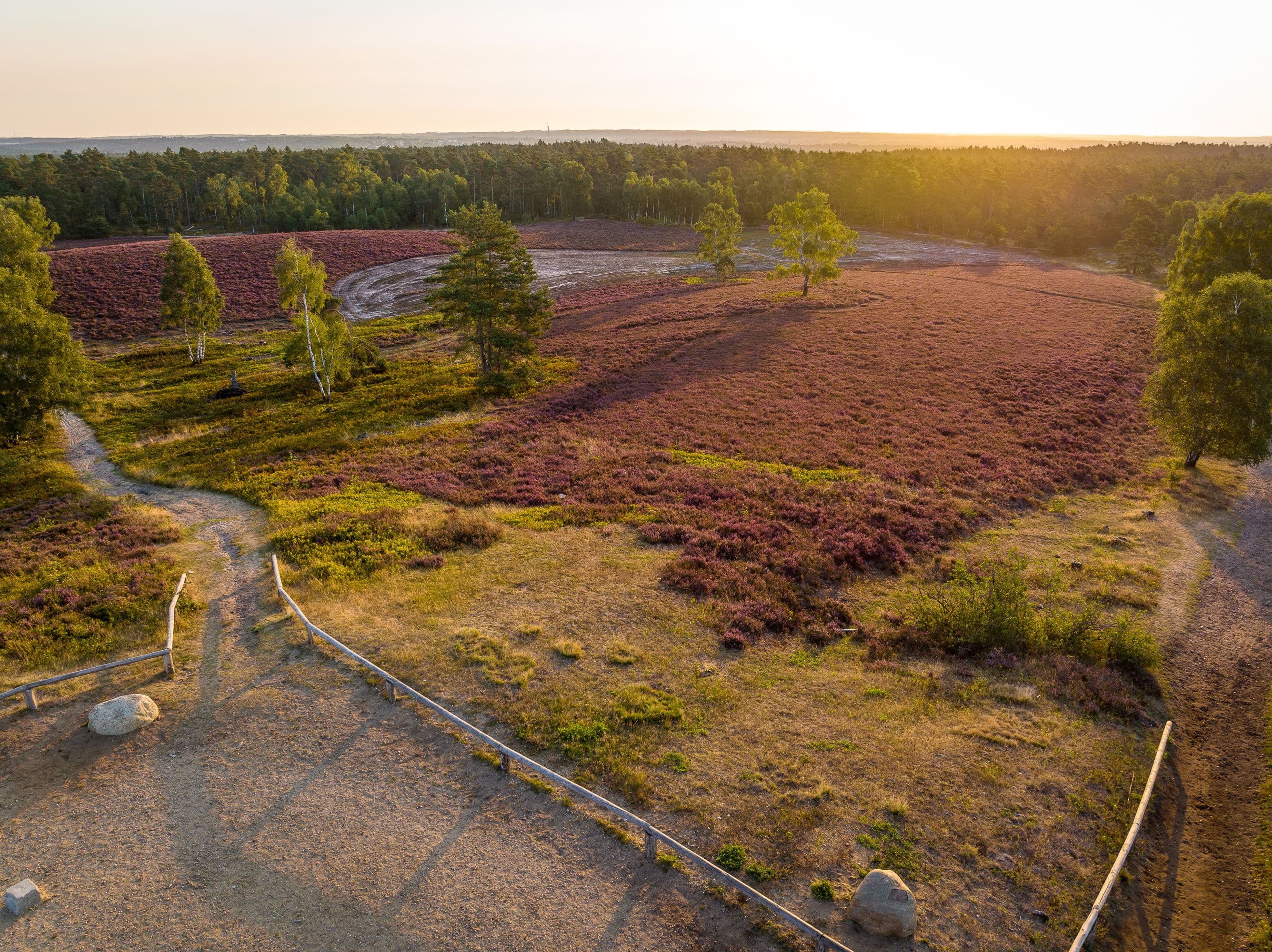 Brunsberg Sprötze Lüneburger Heide