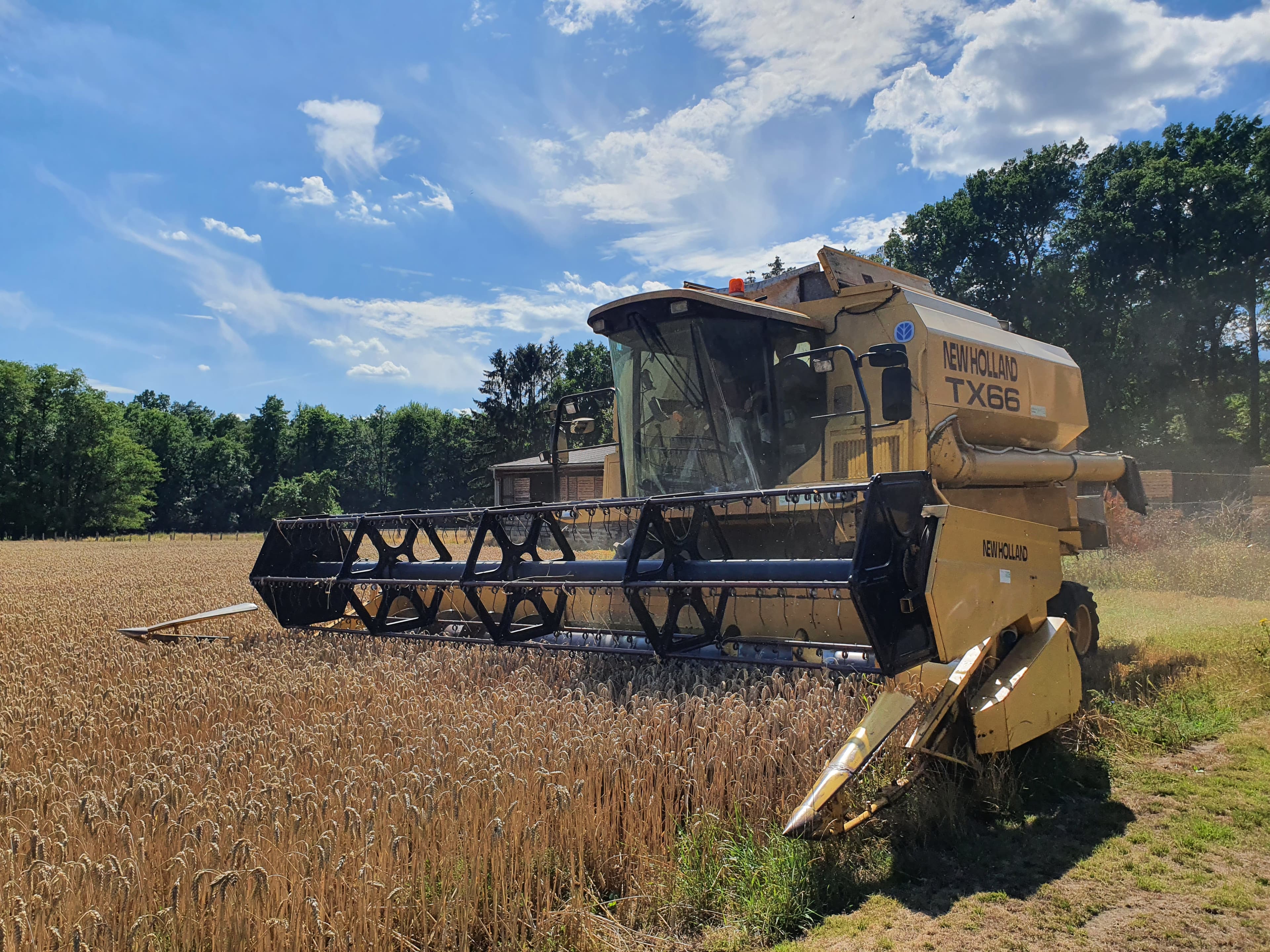 Mähdrescher in Action