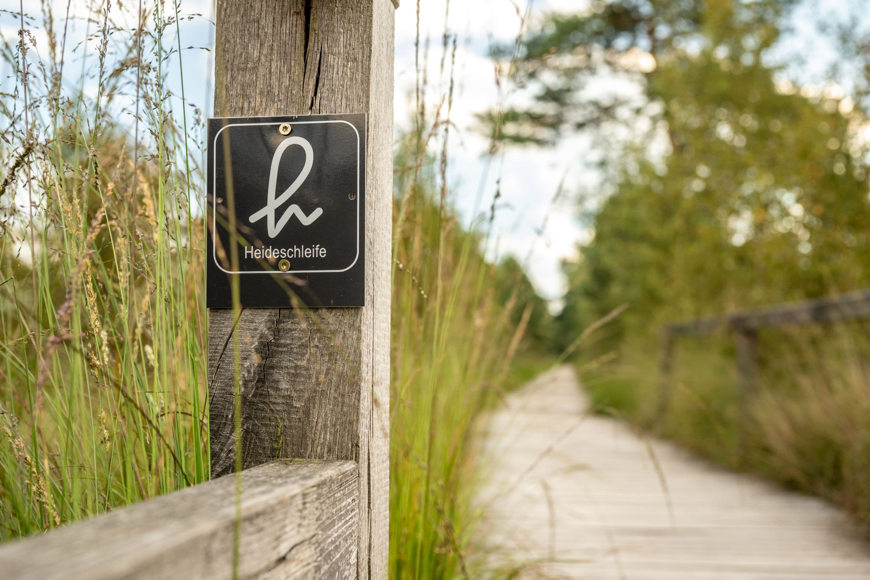 Wanderweg Heideschleife Pietzmoor Schneverdingen BeschilderungHiking trail Heideschleife Pietzmoor Schneverdingen SignpostingVandresti Heideschleife Pietzmoor Schneverdingen SkiltningWandelroute Heideschleife Pietzmoor Schneverdingen Bewegwijzering