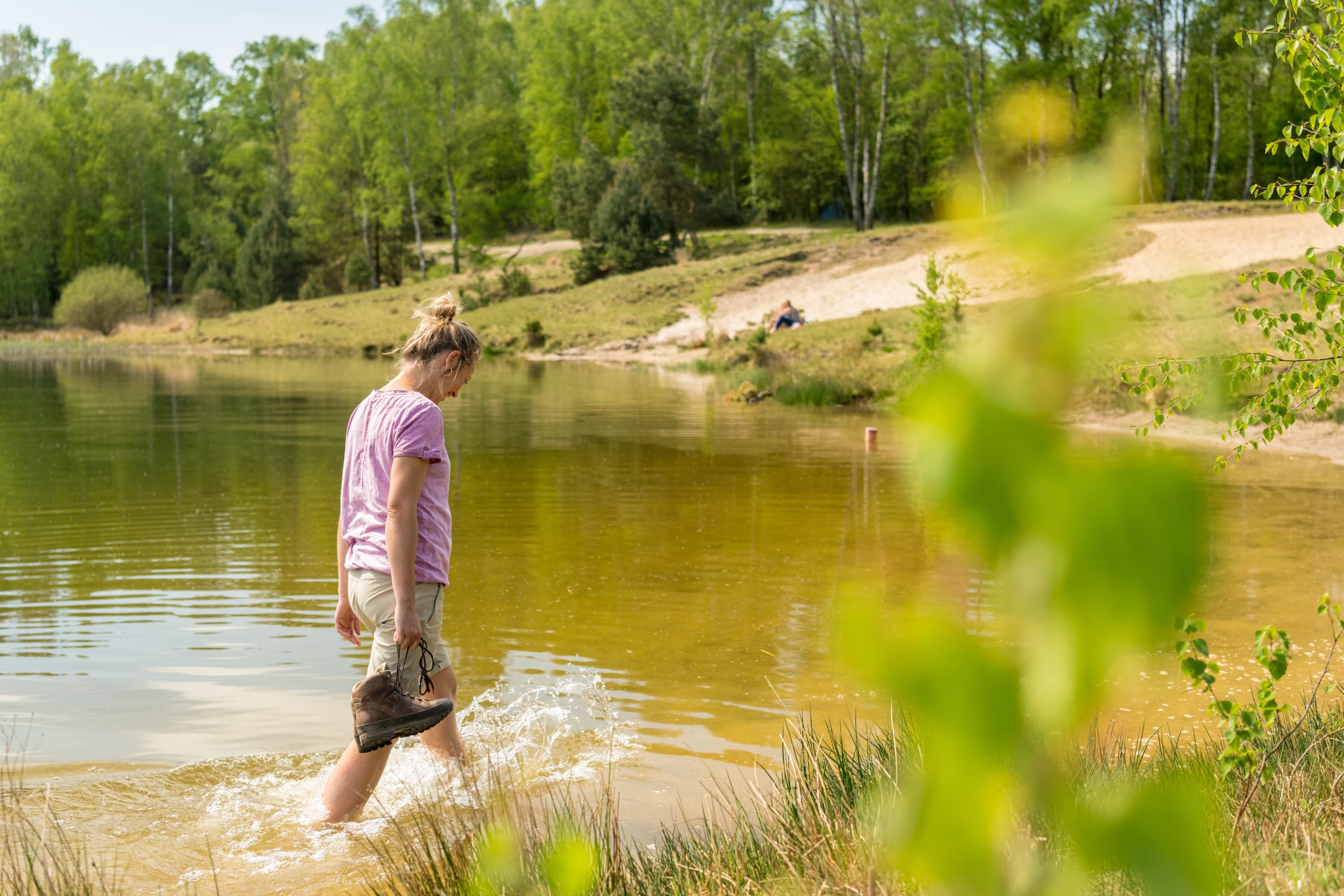 Kieselgurteich Oberoher Heide Südheide