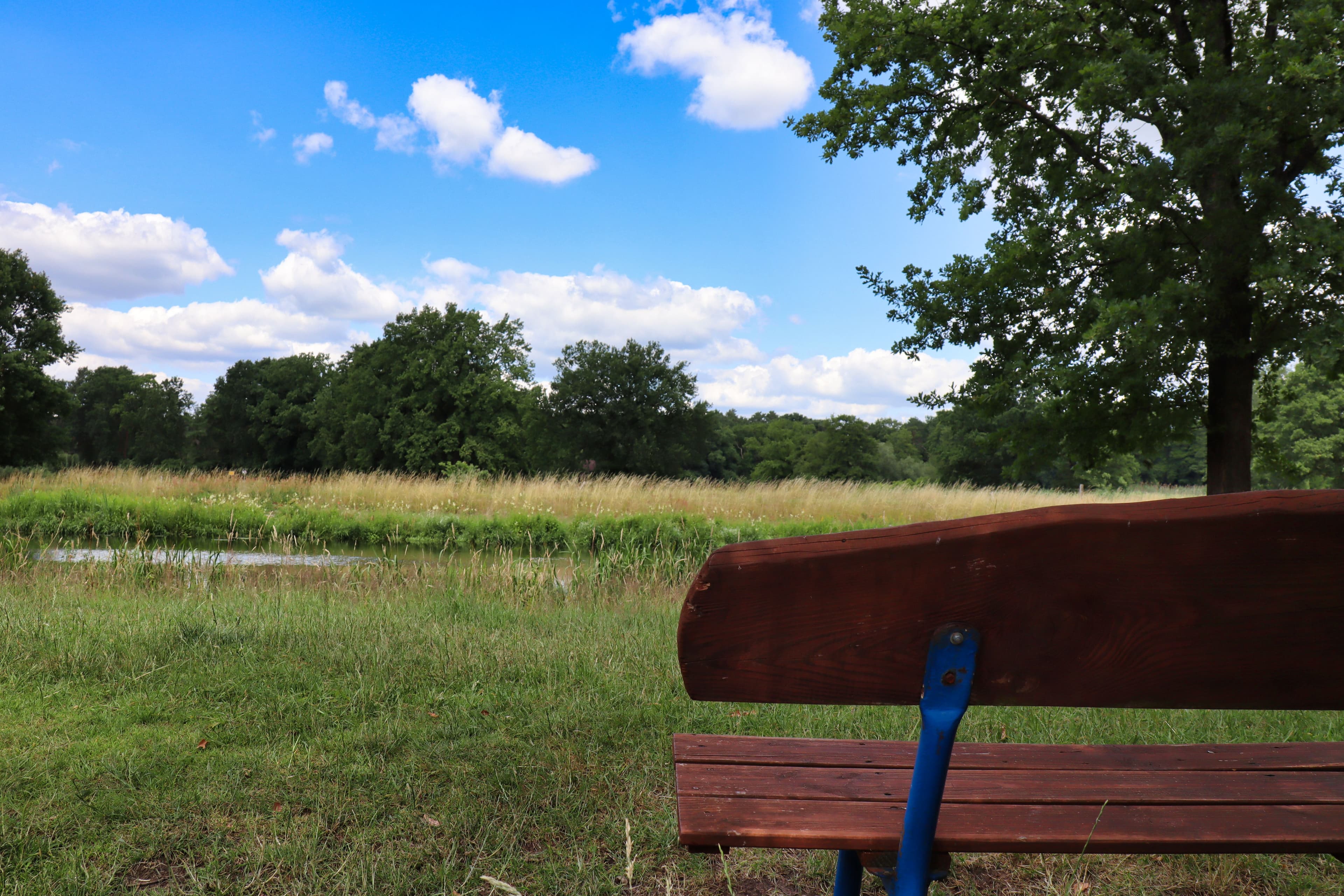 Die Ruhe genießen an der Aller