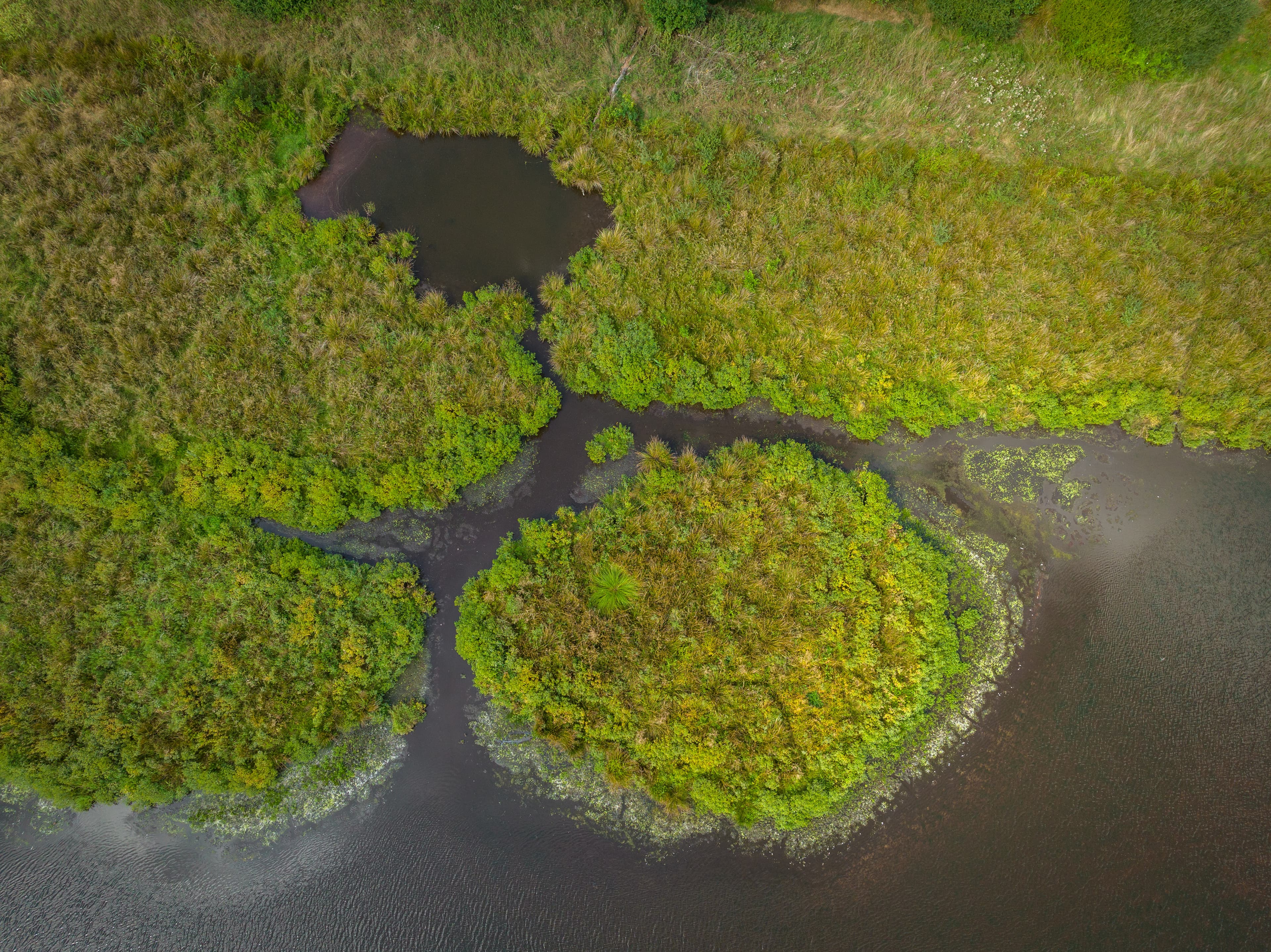 Postmoor Eldingen Südheide