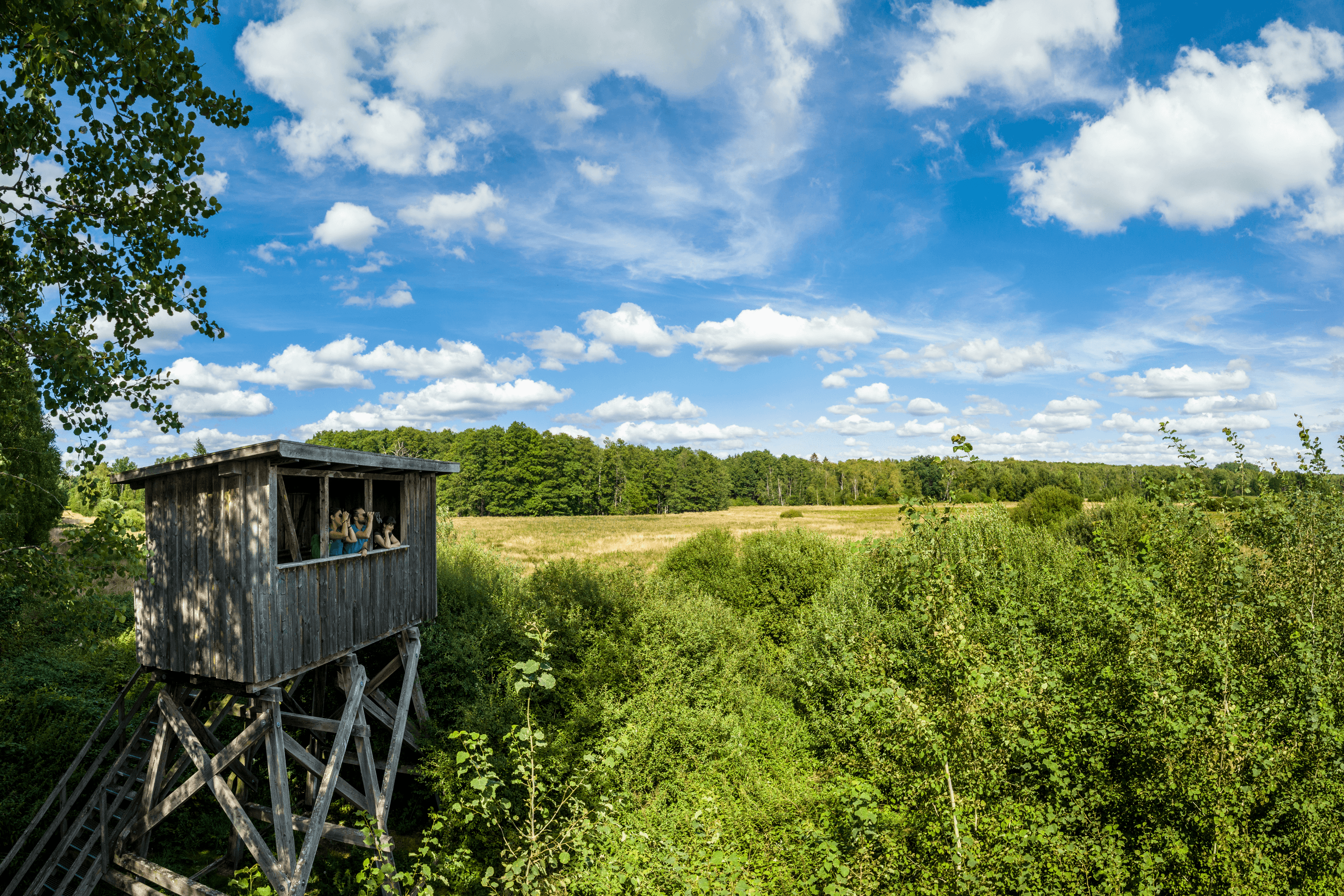 Eldingen Postmoor Aussichtsturm SüdheideEldingen Postmoor Südheide observation towerEldingen Postmoor Südheide udsigtstårnUitkijktoren Eldingen Postmoor Südheide