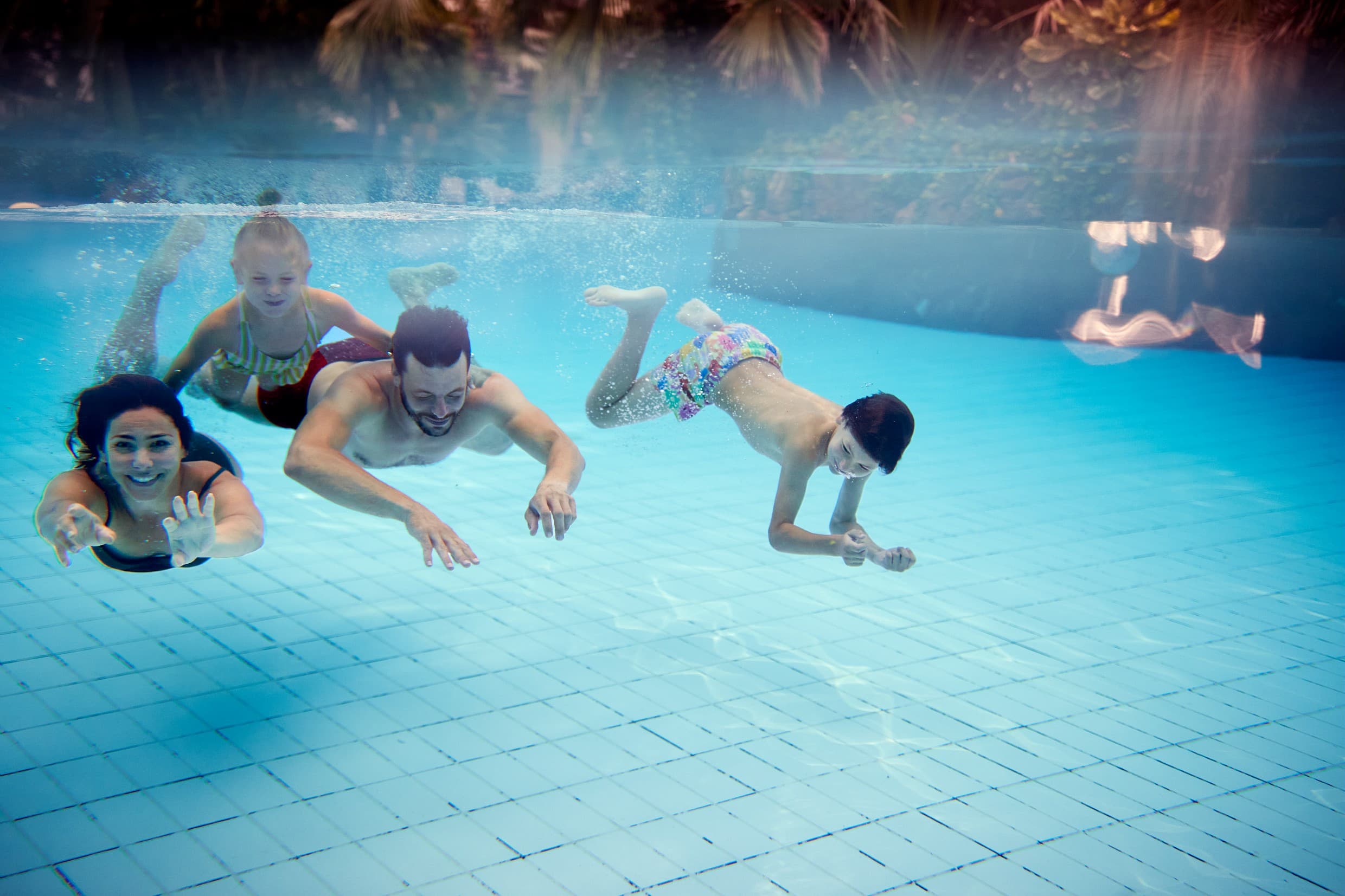 der center parcs bispinger heide verfügt über ein tropisches schwimmbad