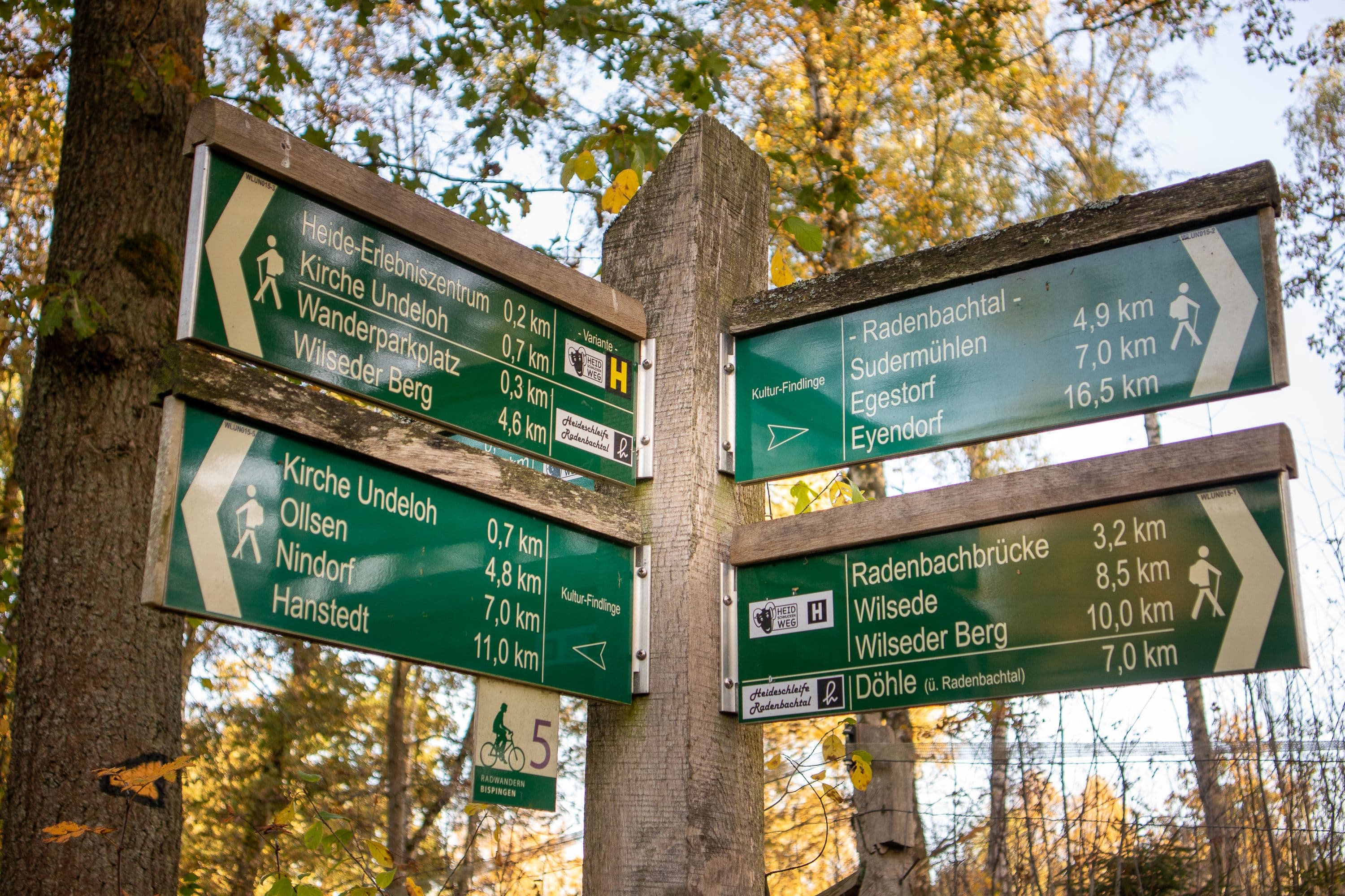 Radenbachtal bei Undeloh