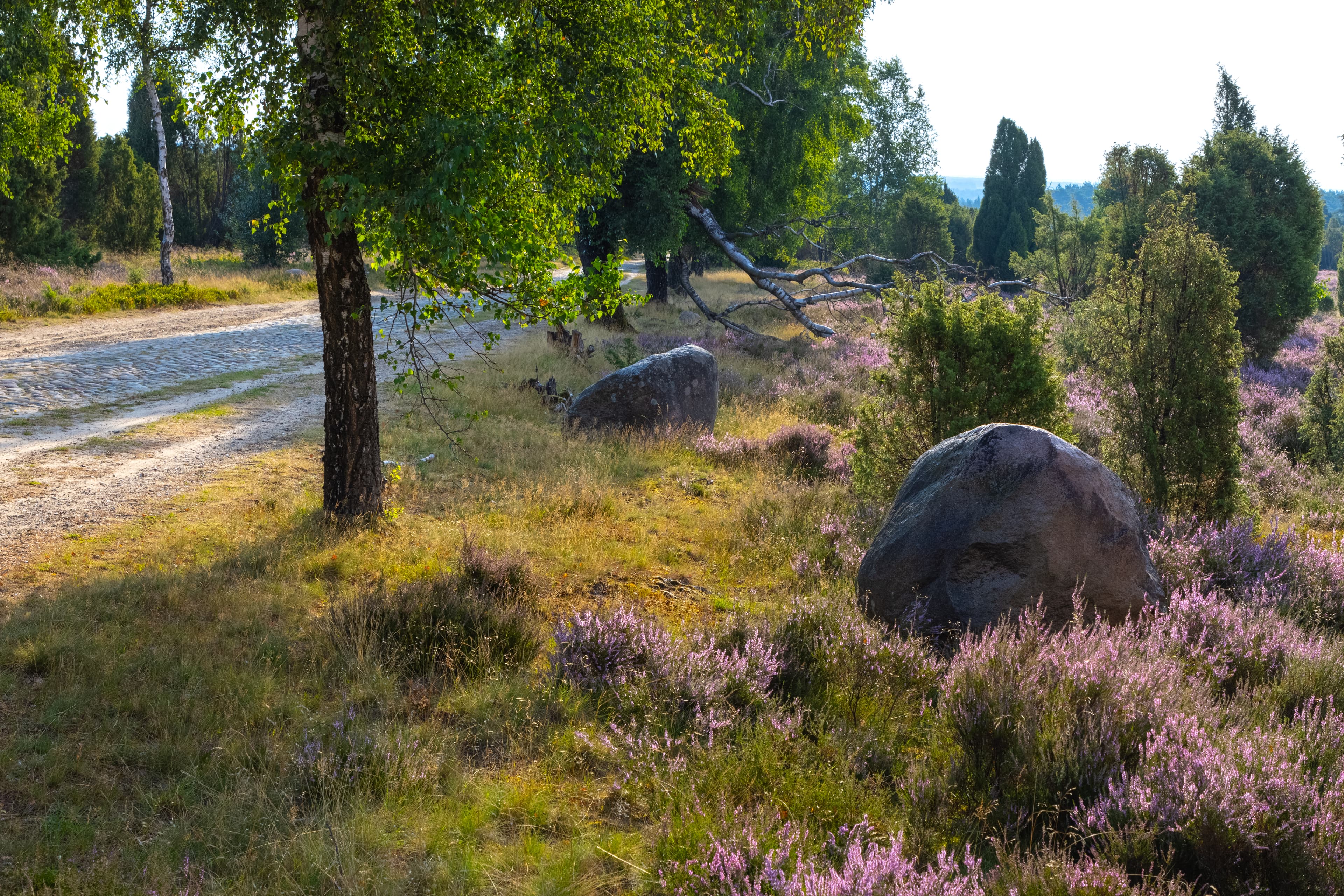 Hinter dem Heideort Döhle beginnt die Döhler Heide