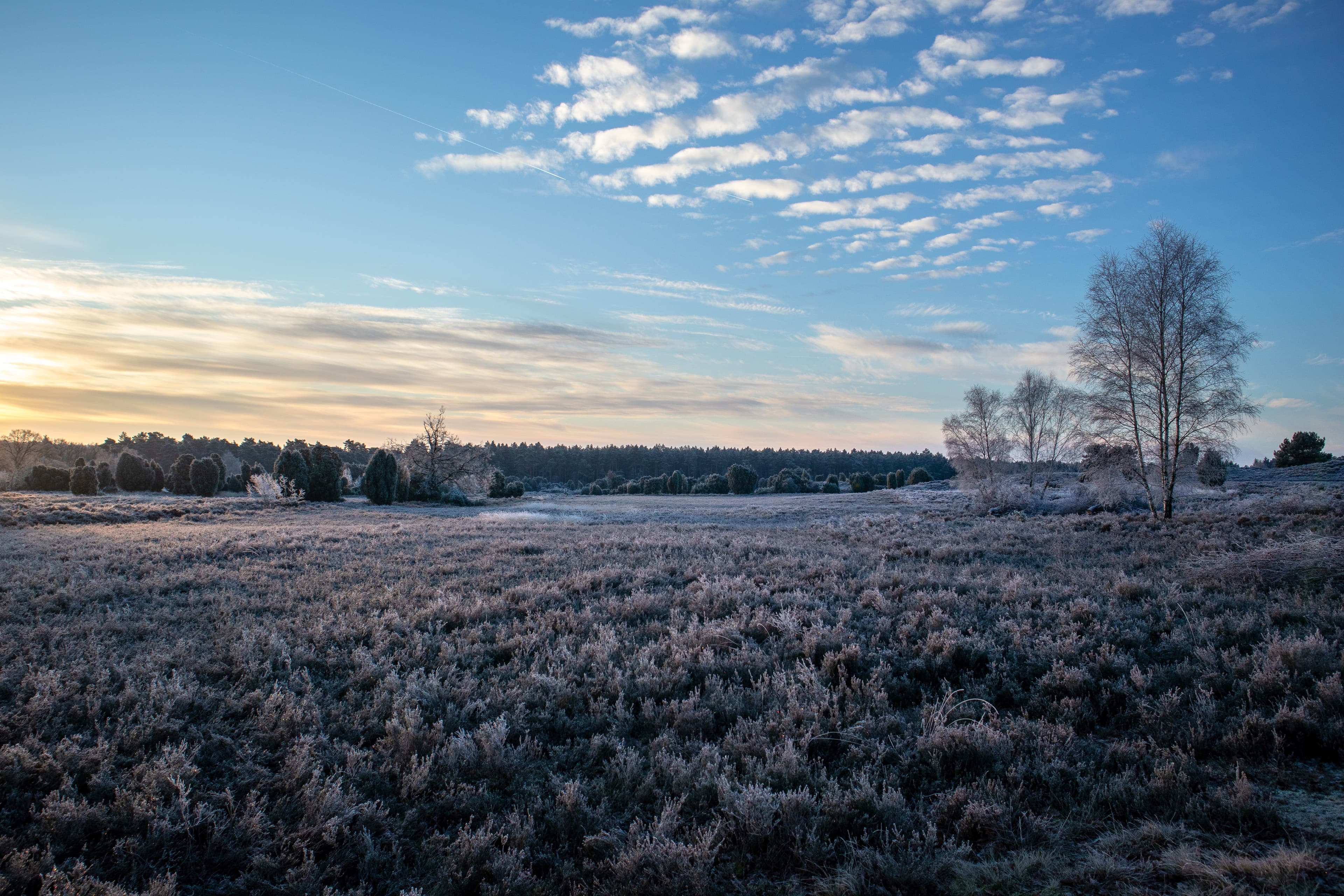 auch im winter kann man wandern bei egestorf