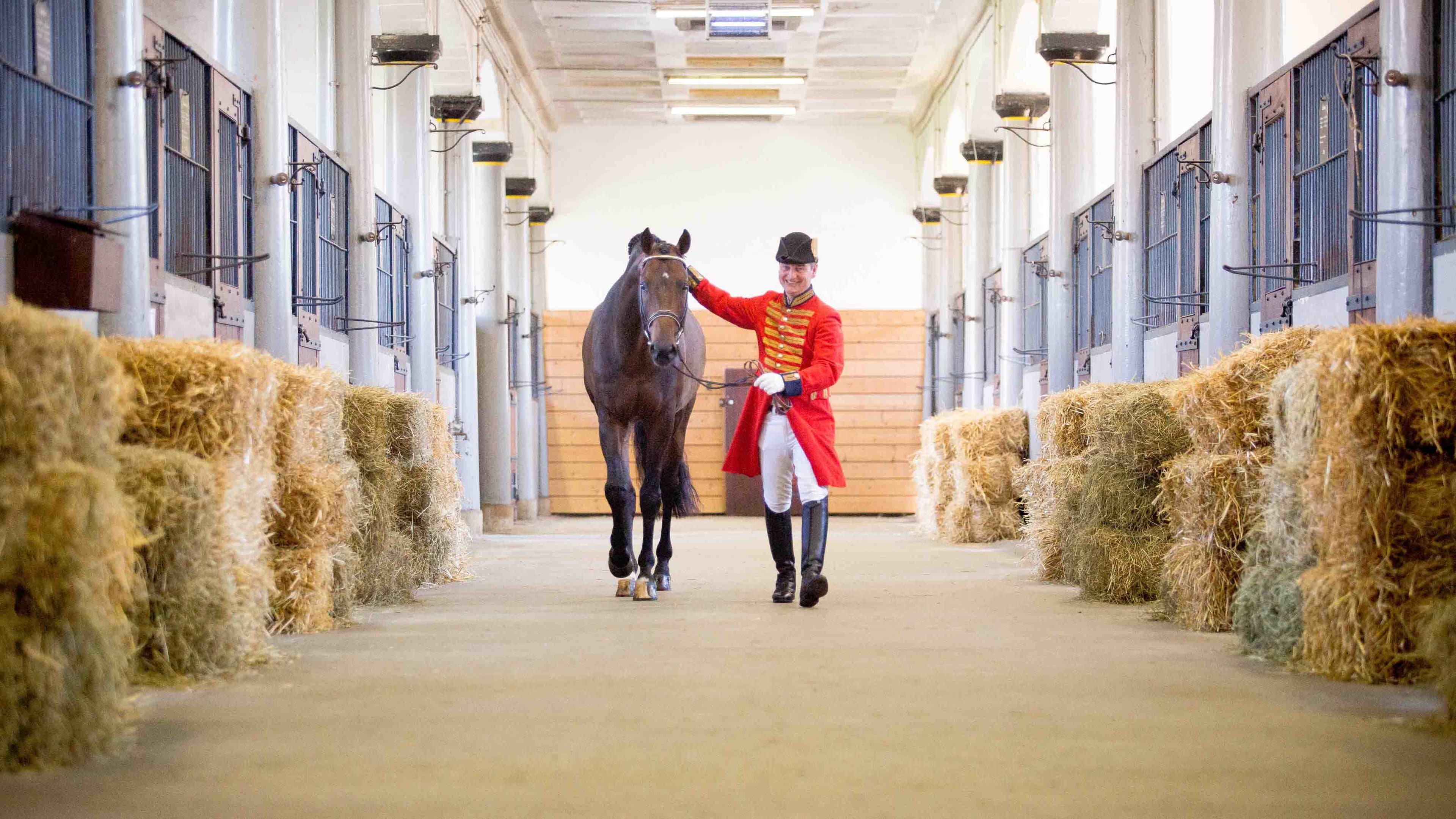 Landgestüt CelleLower Saxony State Horse Stud, Celle