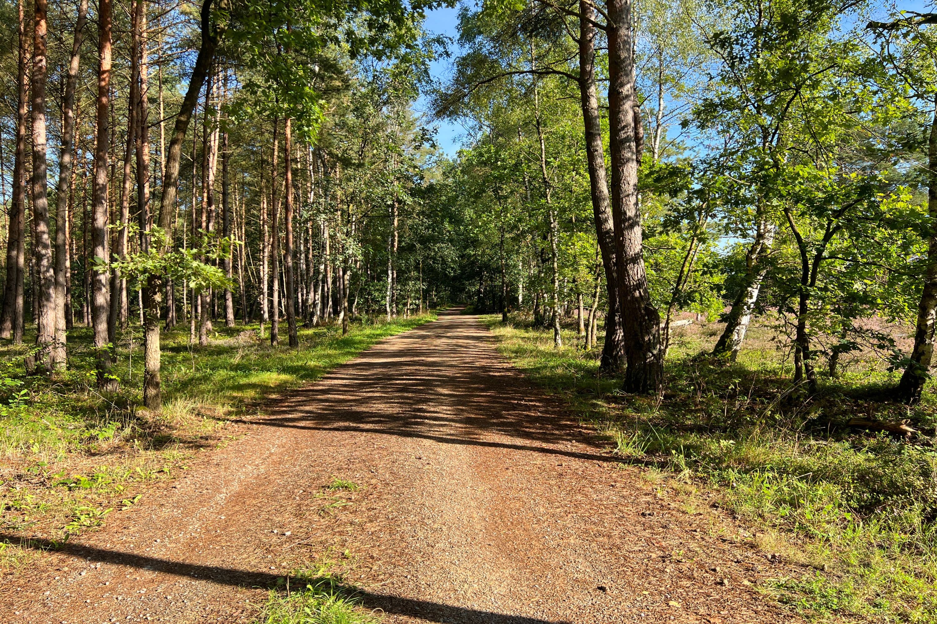 Allerradweg Etappe 2 Oldau Hambühren Heidefläche
