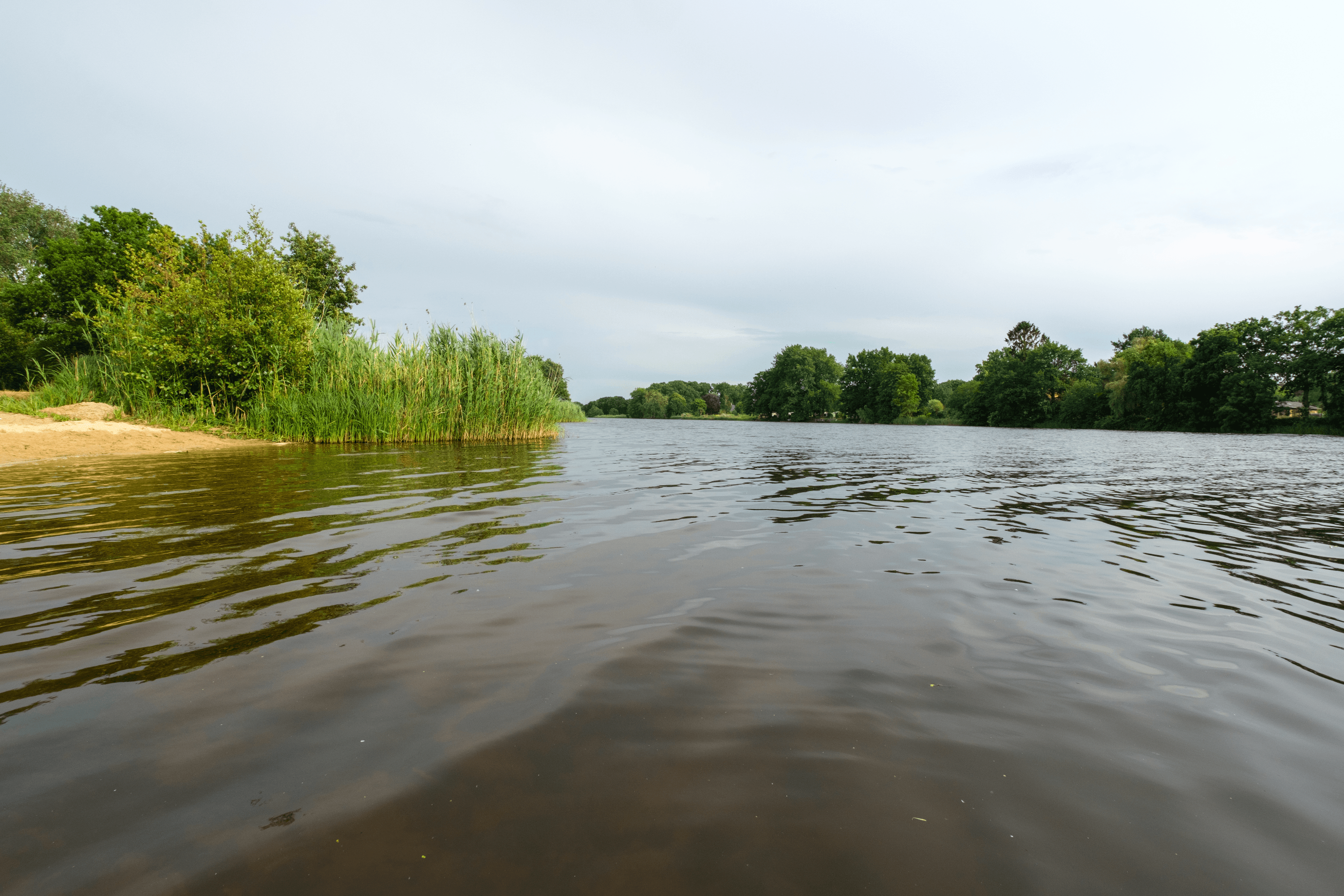 Seen in der Lüneburger Heide
