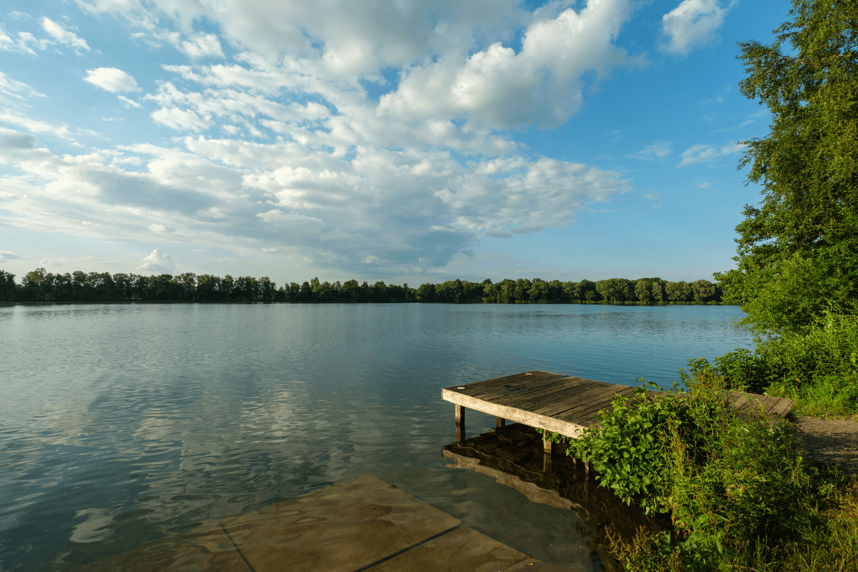Seen in der Lüneburger Heide