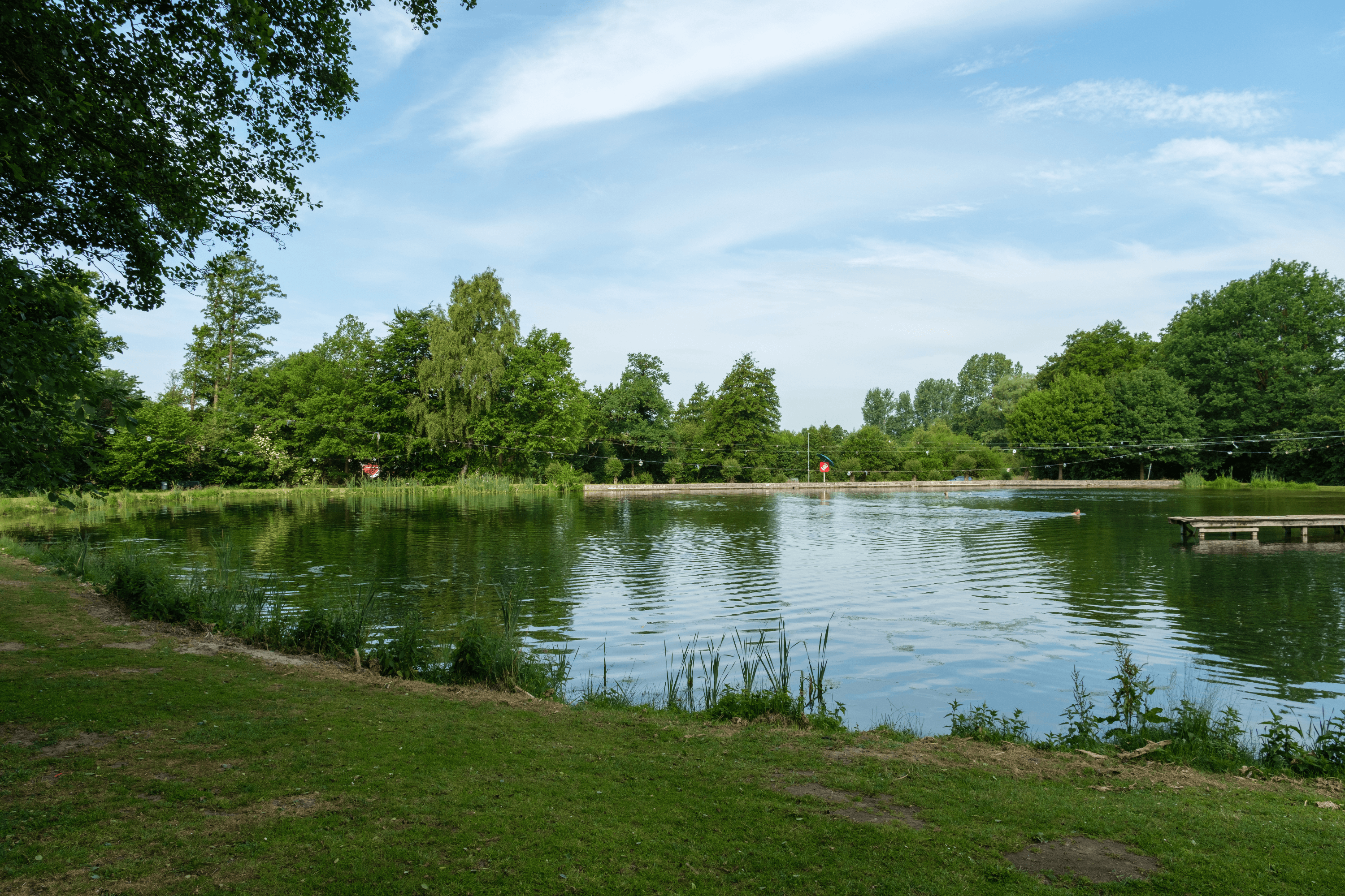 Seen in der Lüneburger Heide