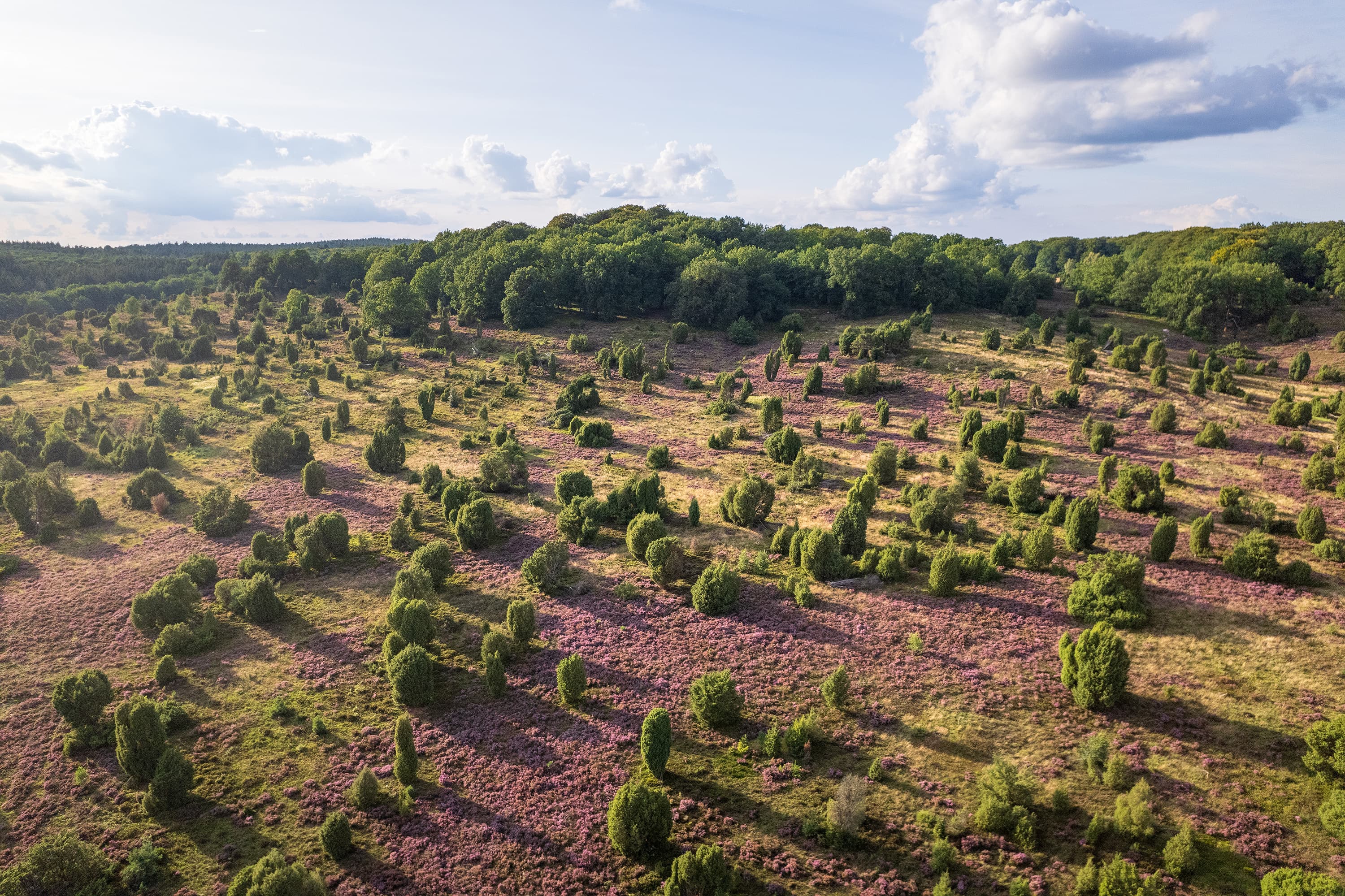 Neben dem Totengrund liegt der Steingrund