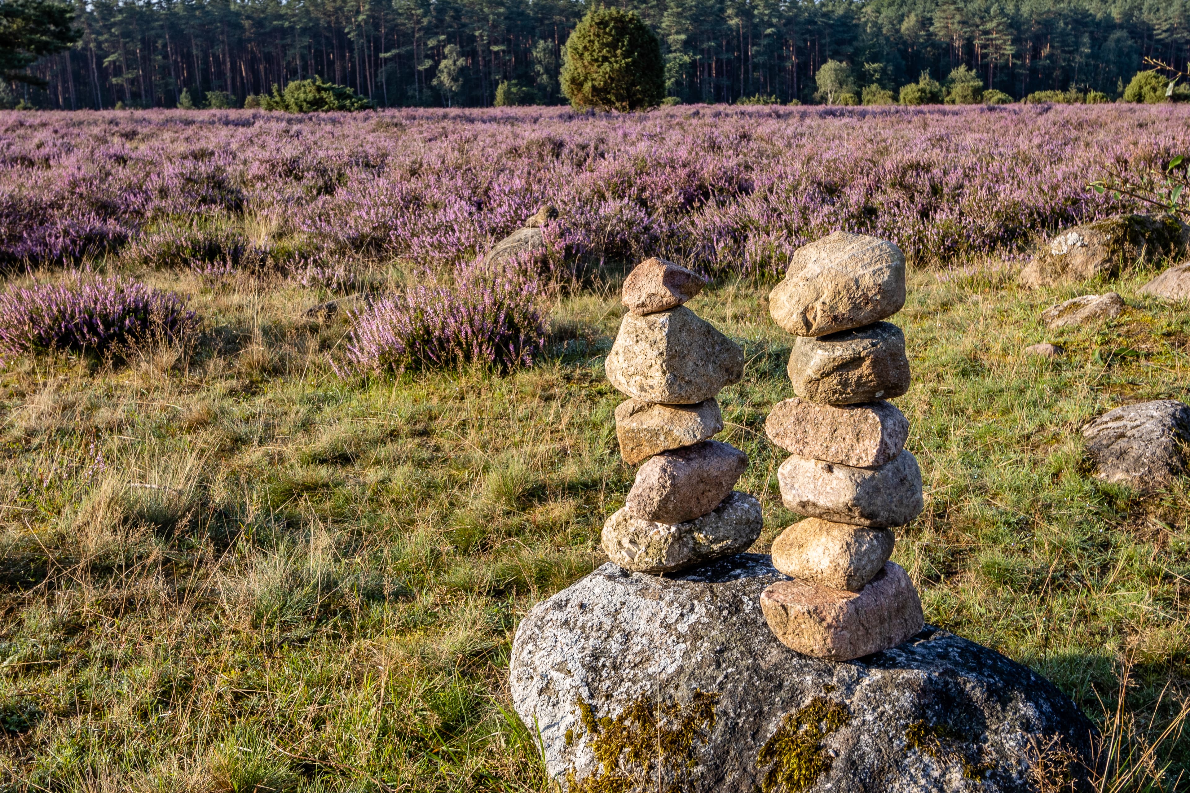 Ist es ein Ehepaar? Zwei Steinmännchen in der Heide