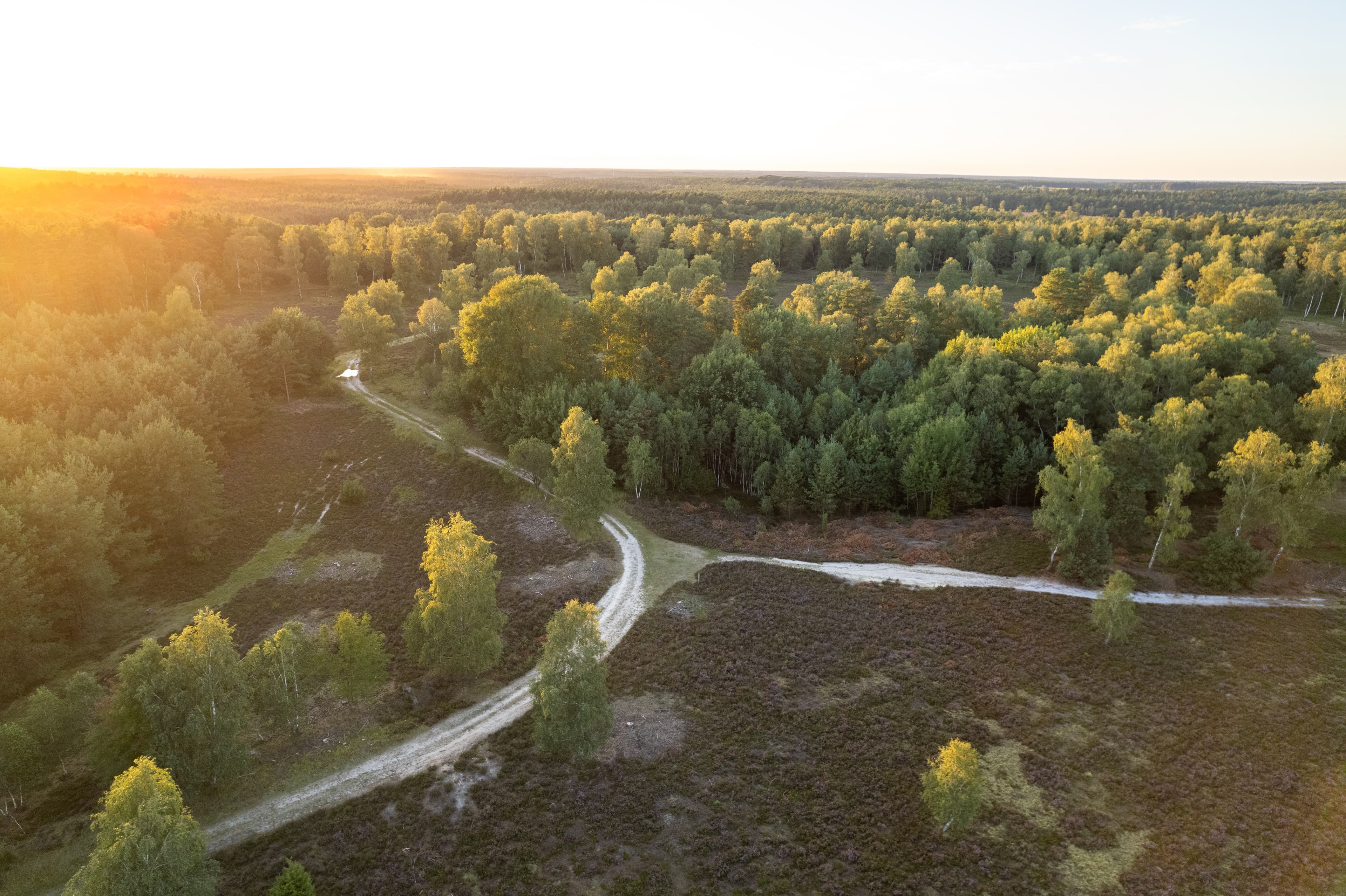 Der schönste Wanderweg Deutschlands Heidschnuckenweg Oberhoher Heide