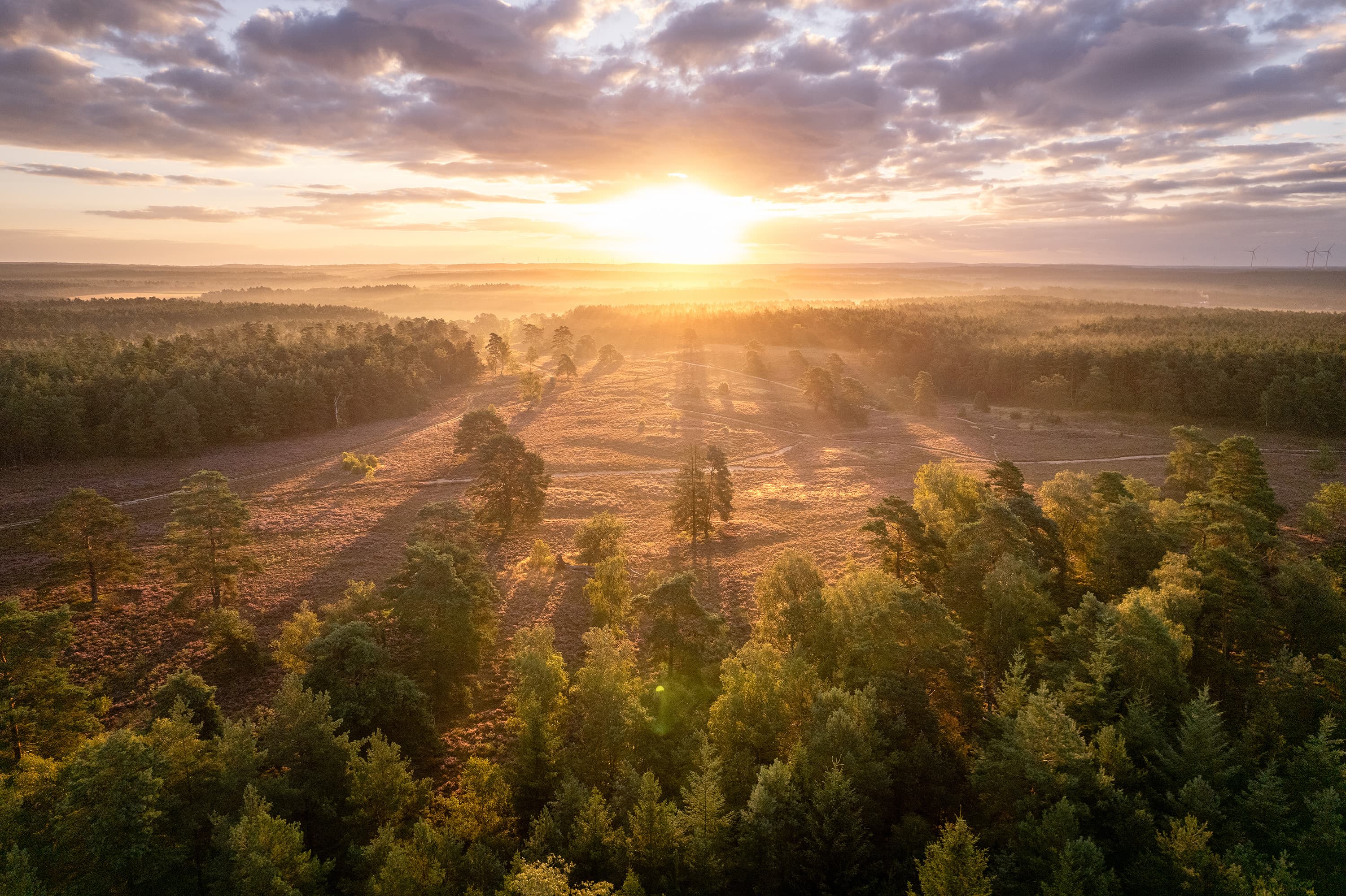 Schwindebecker Heide bei Soderstorf, Amelinghausen