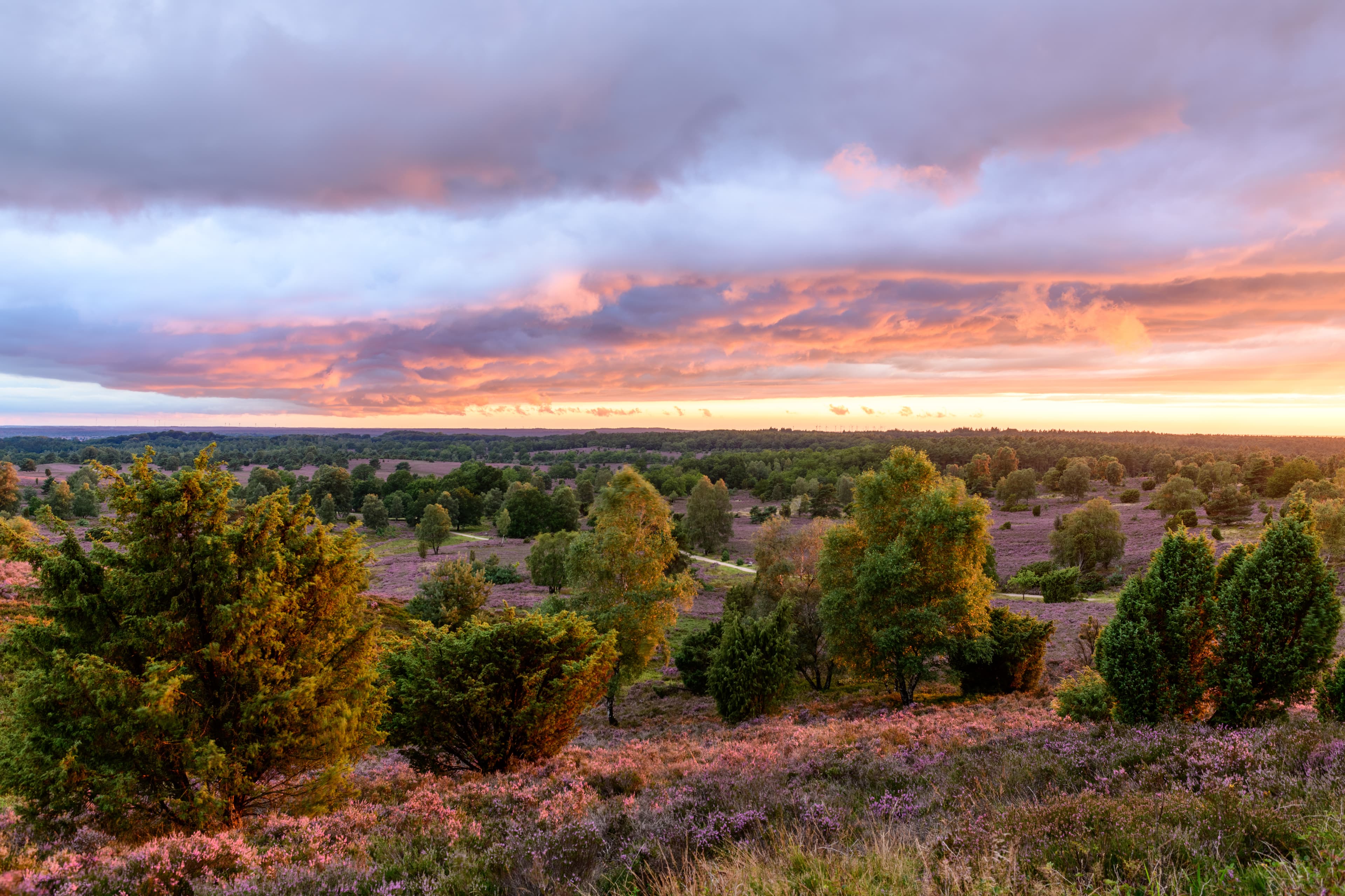 Naturnahe Hotels in der Lüneburger Heide
