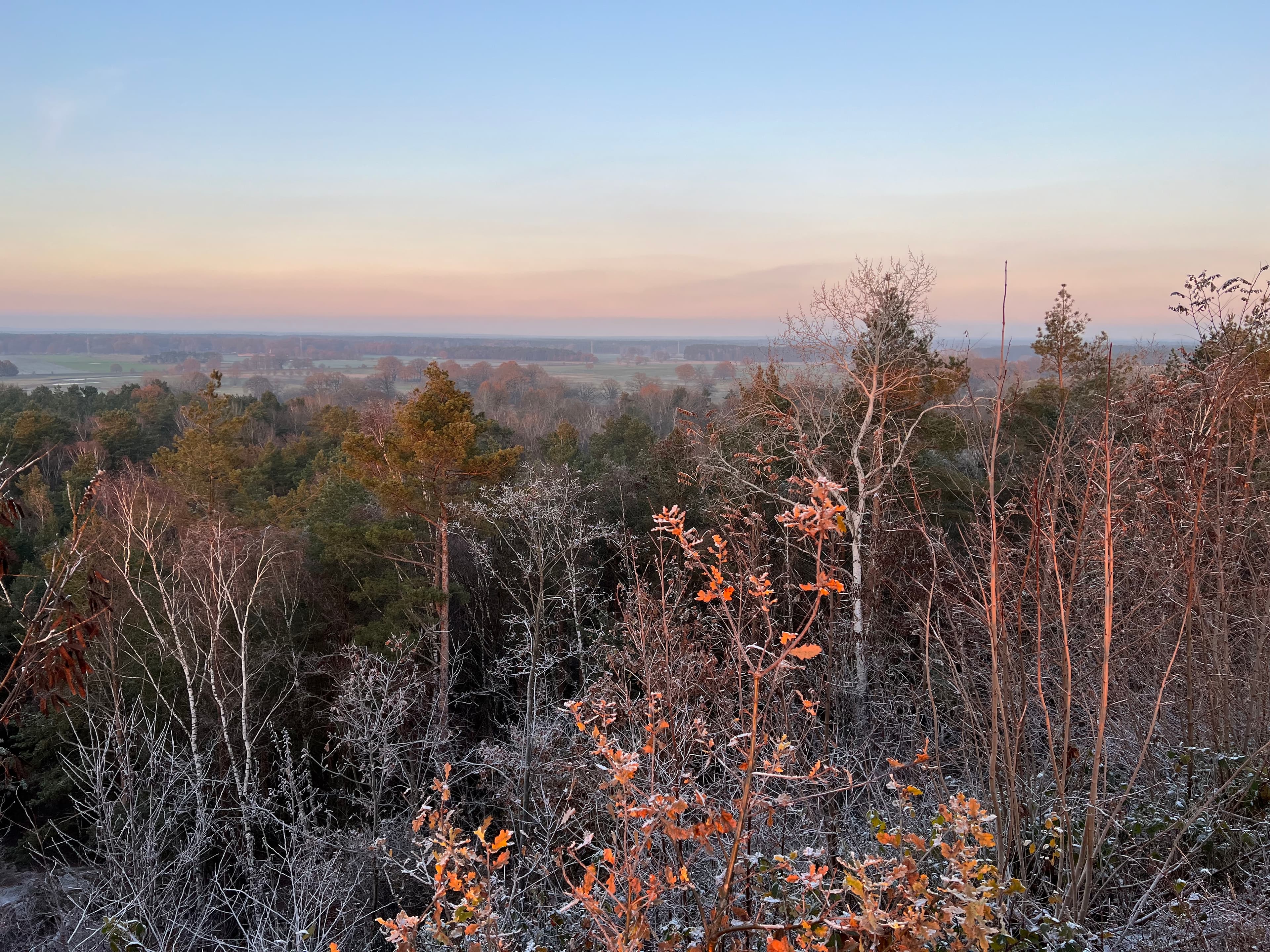 Blick vom Ölberg in die Region
