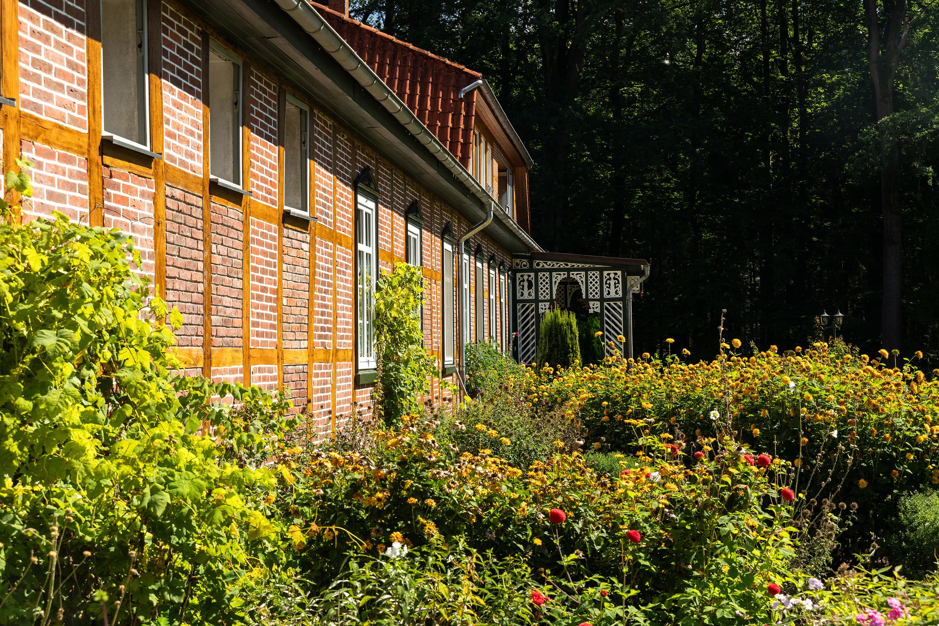 Bauernhof Hof Flottwedel Wietzendorf Kurzurlaub