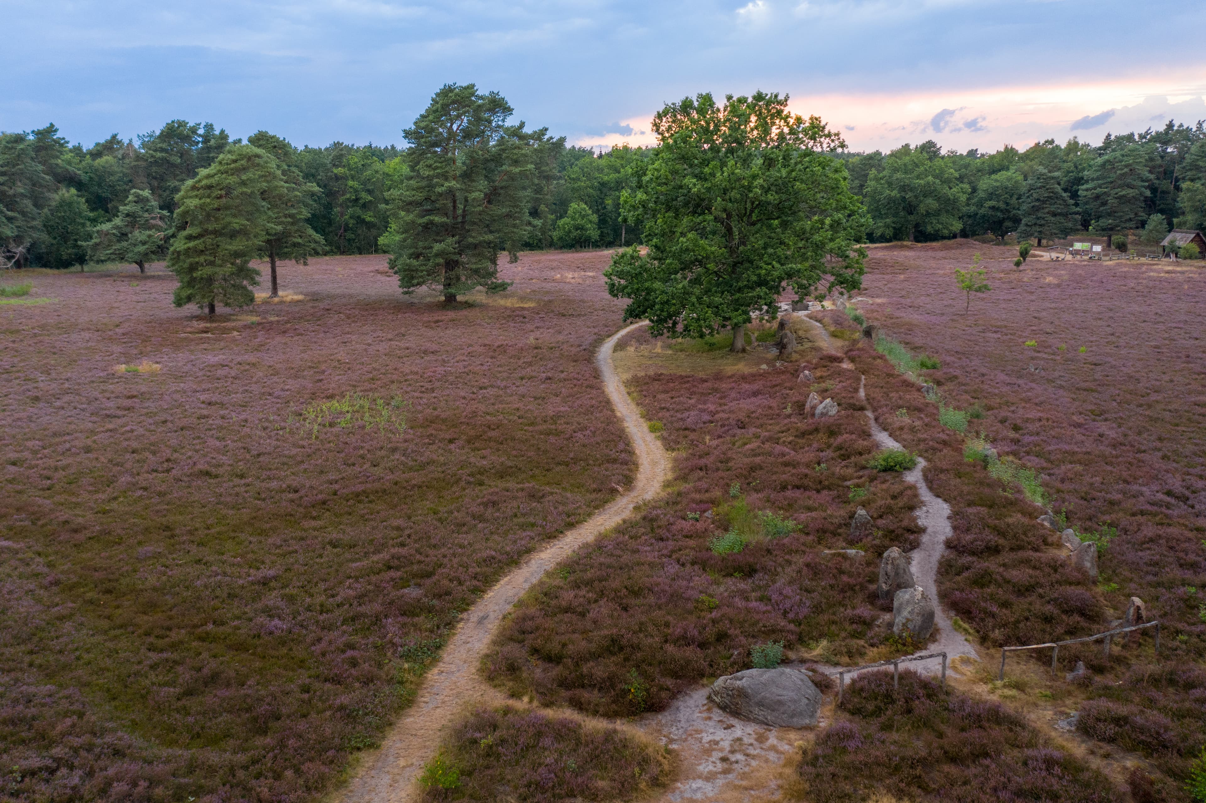 Oldendorfer Totenstatt Drohne Grabhügel Archäologie