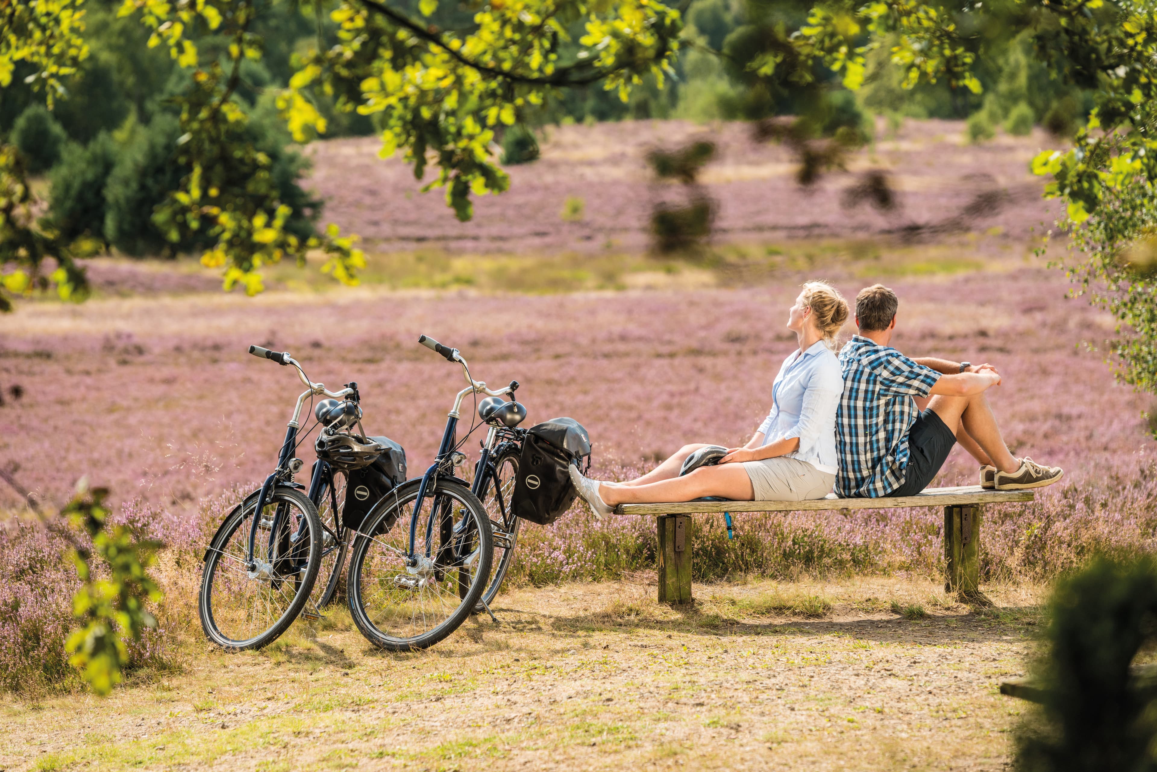 Fahrradfahren in der Lüneburger Heide Kurzurlaub Fahrradverleih