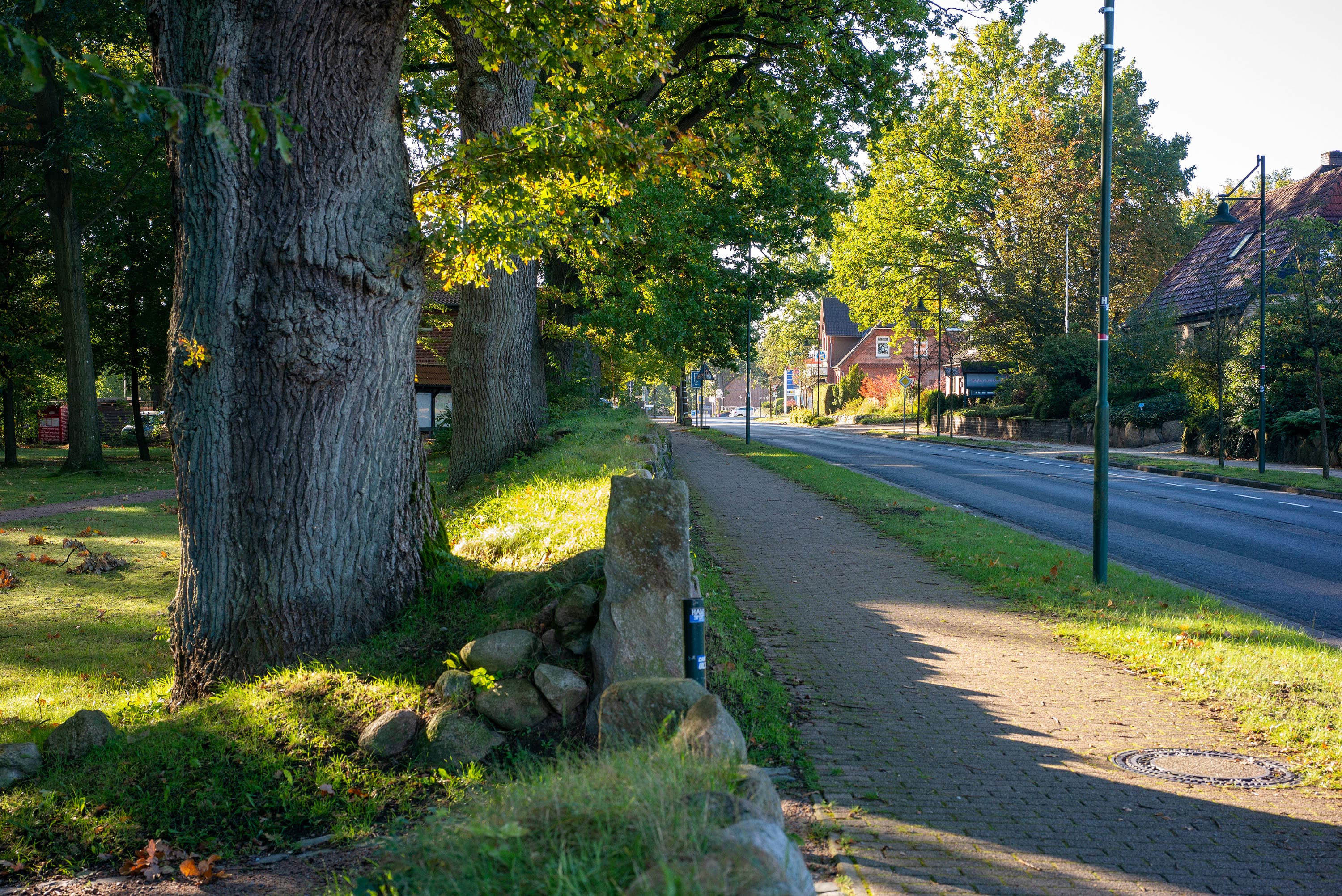 Bispingen in der Lüneburger Heide ist ein grüner Ort