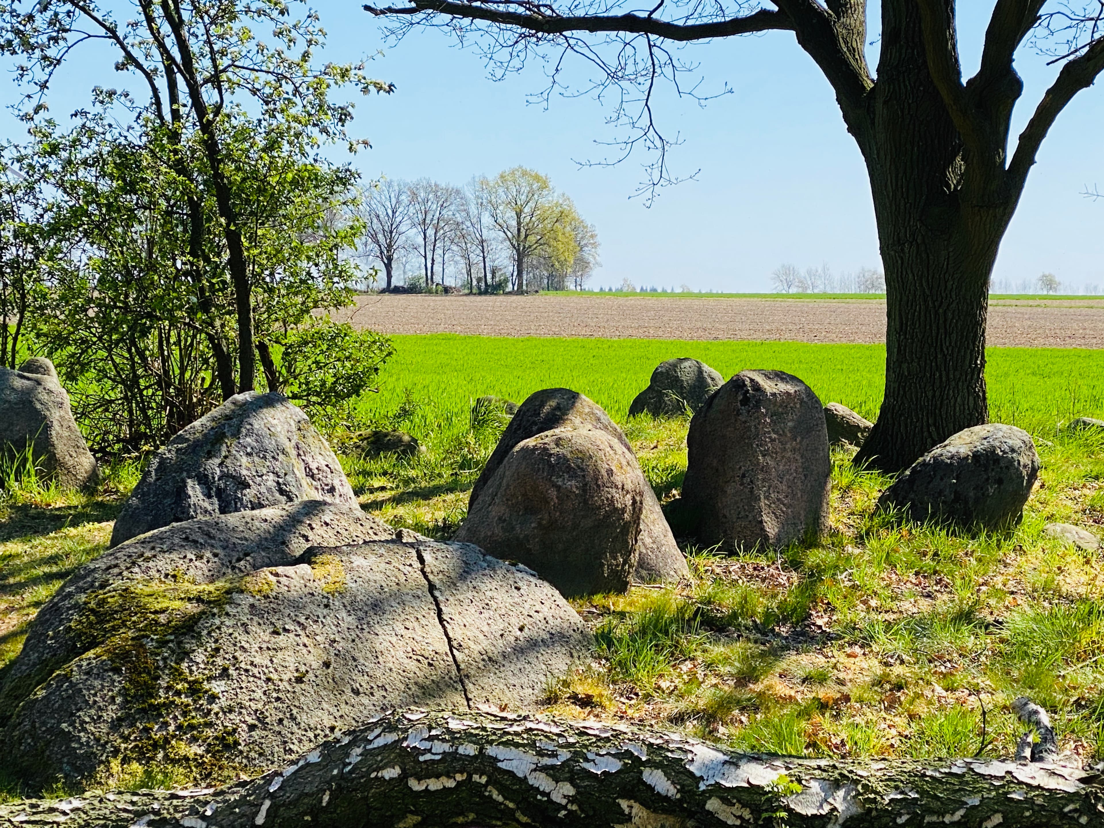 Altenmedingen Königsgräber
