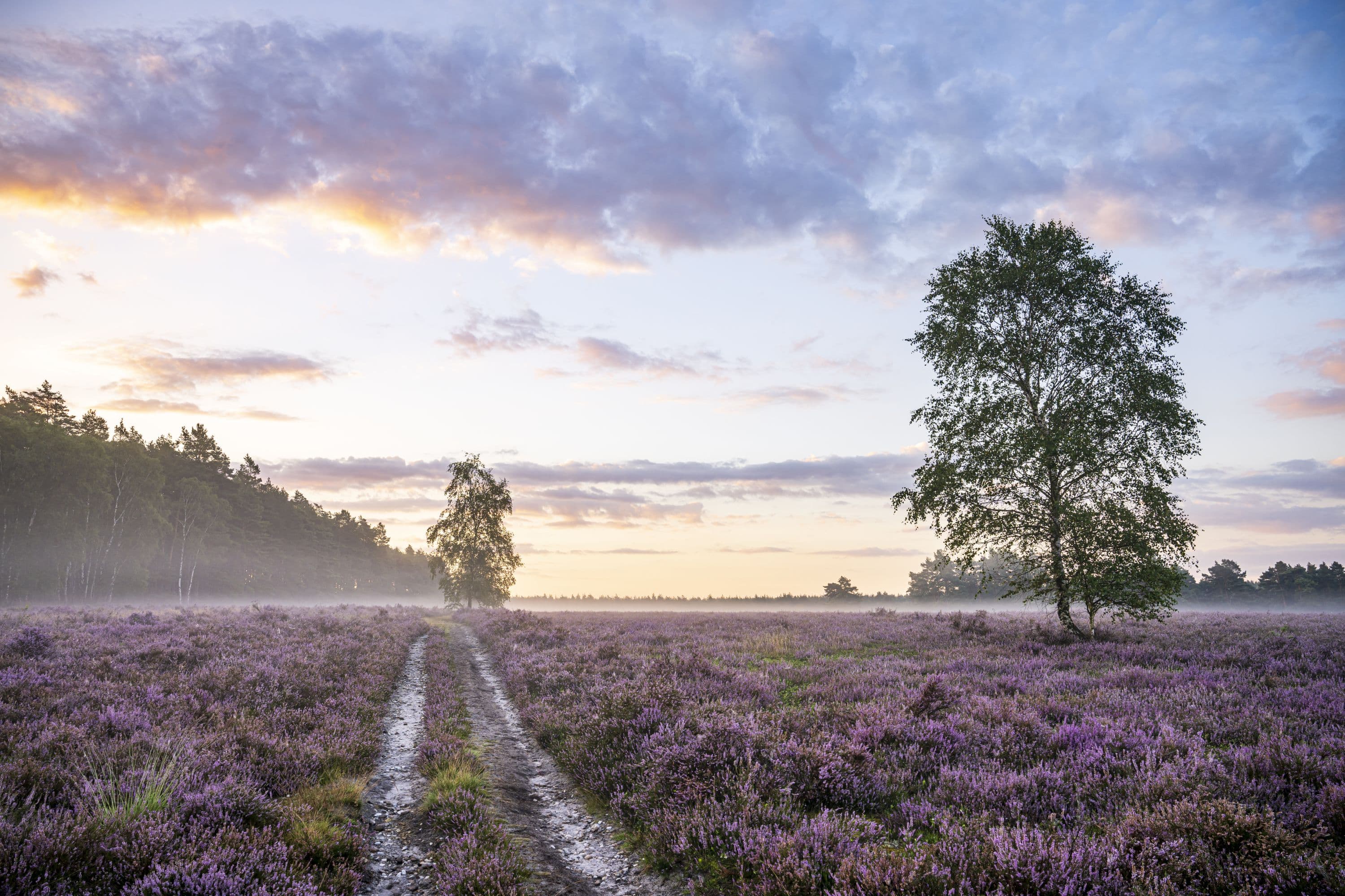 Das Tiefental ist eine tolle WanderregionThe Tiefental is a great hiking regionTiefental er et fantastisk vandreområdeHet Tiefental is een geweldig wandelgebied