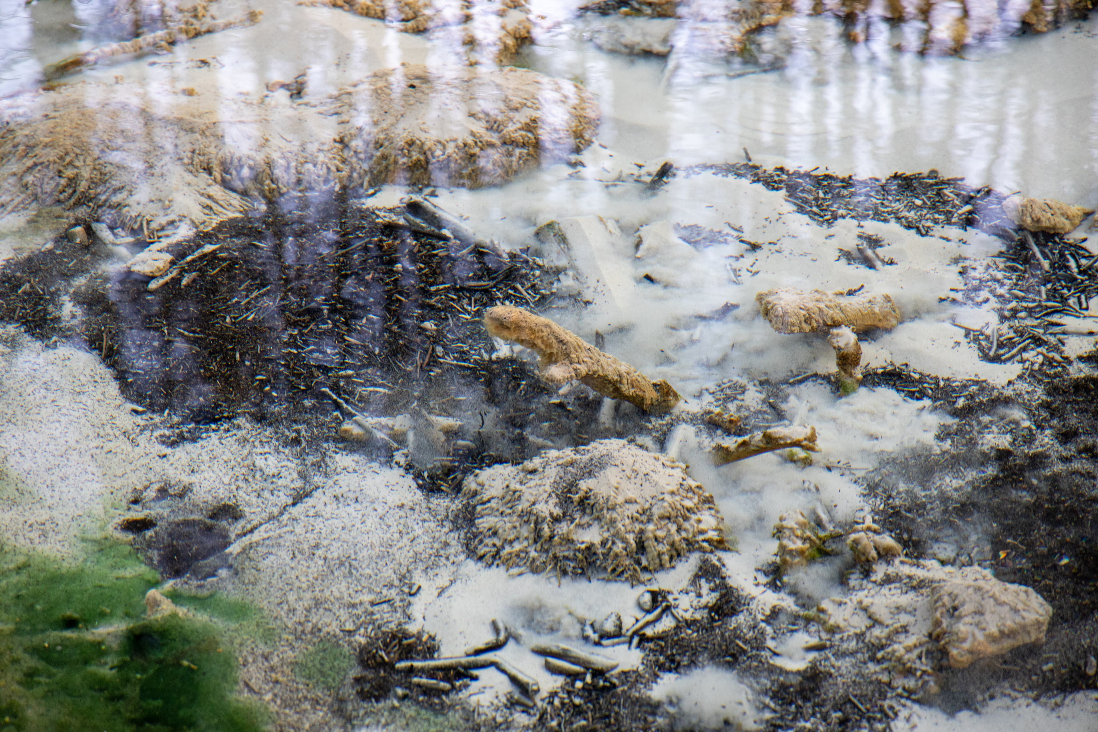 Die Schwindequelle ist die zweit wasserreichste Quelle in Niedersachsen