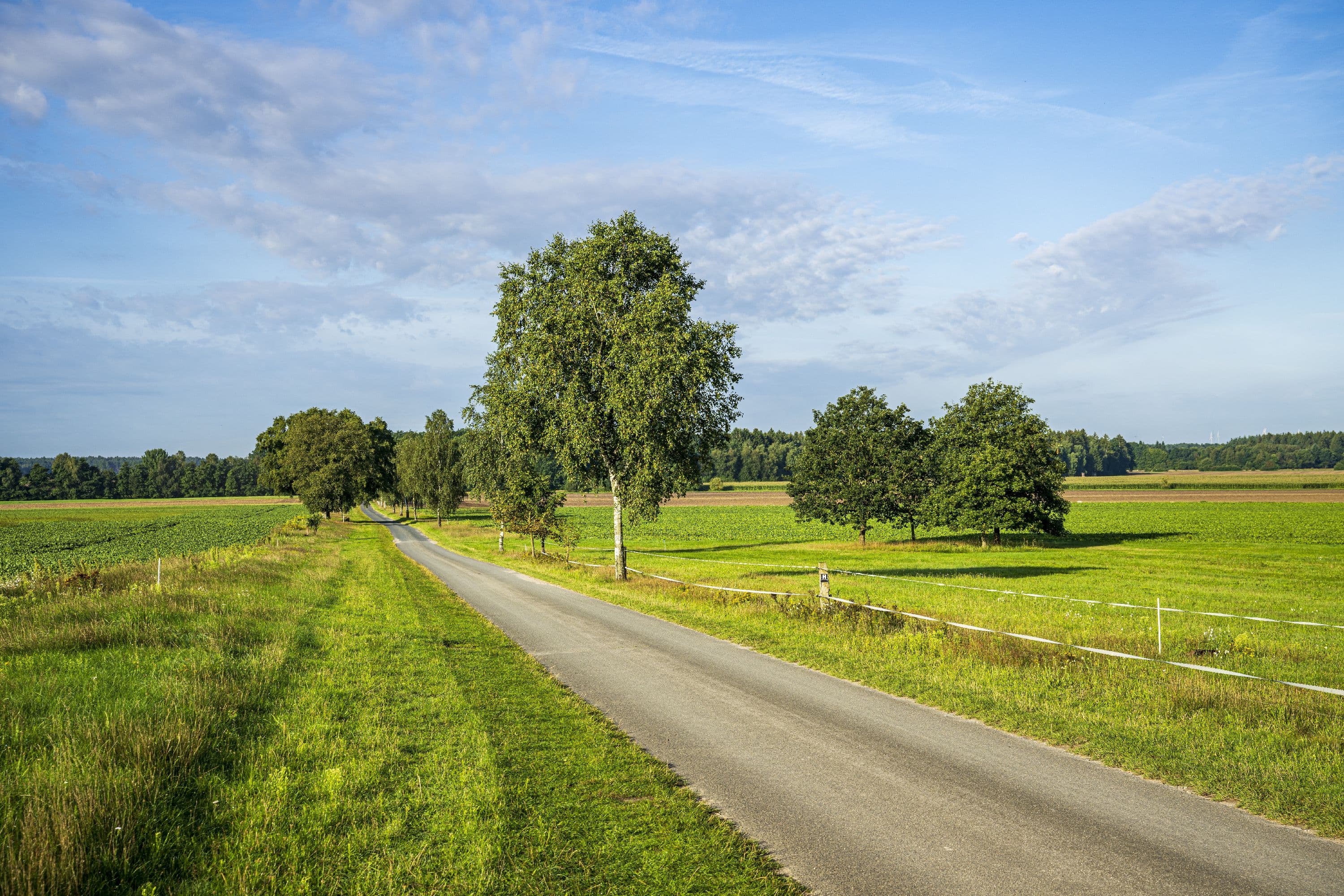 Wandern durch weite Feld- und Wiesenlandschaften