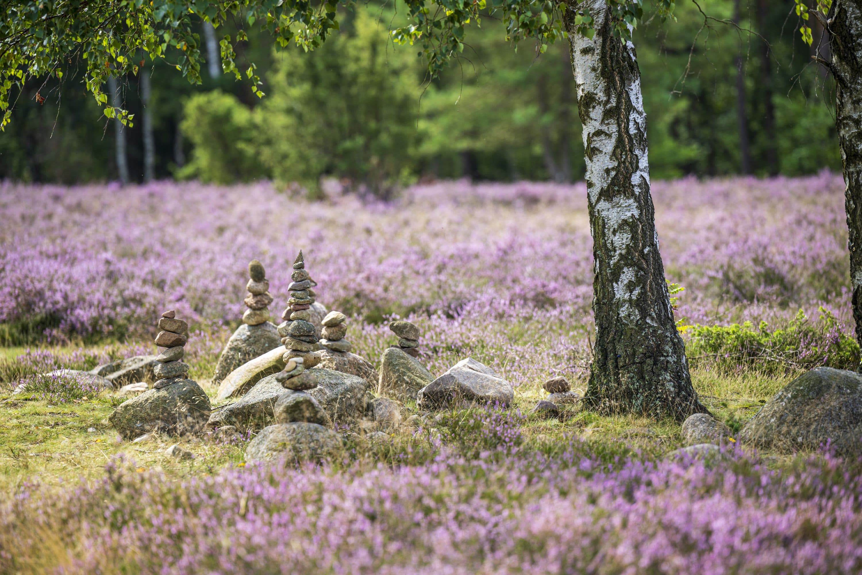 Kleine Steinfiguren finden sich am Rundwanderweg