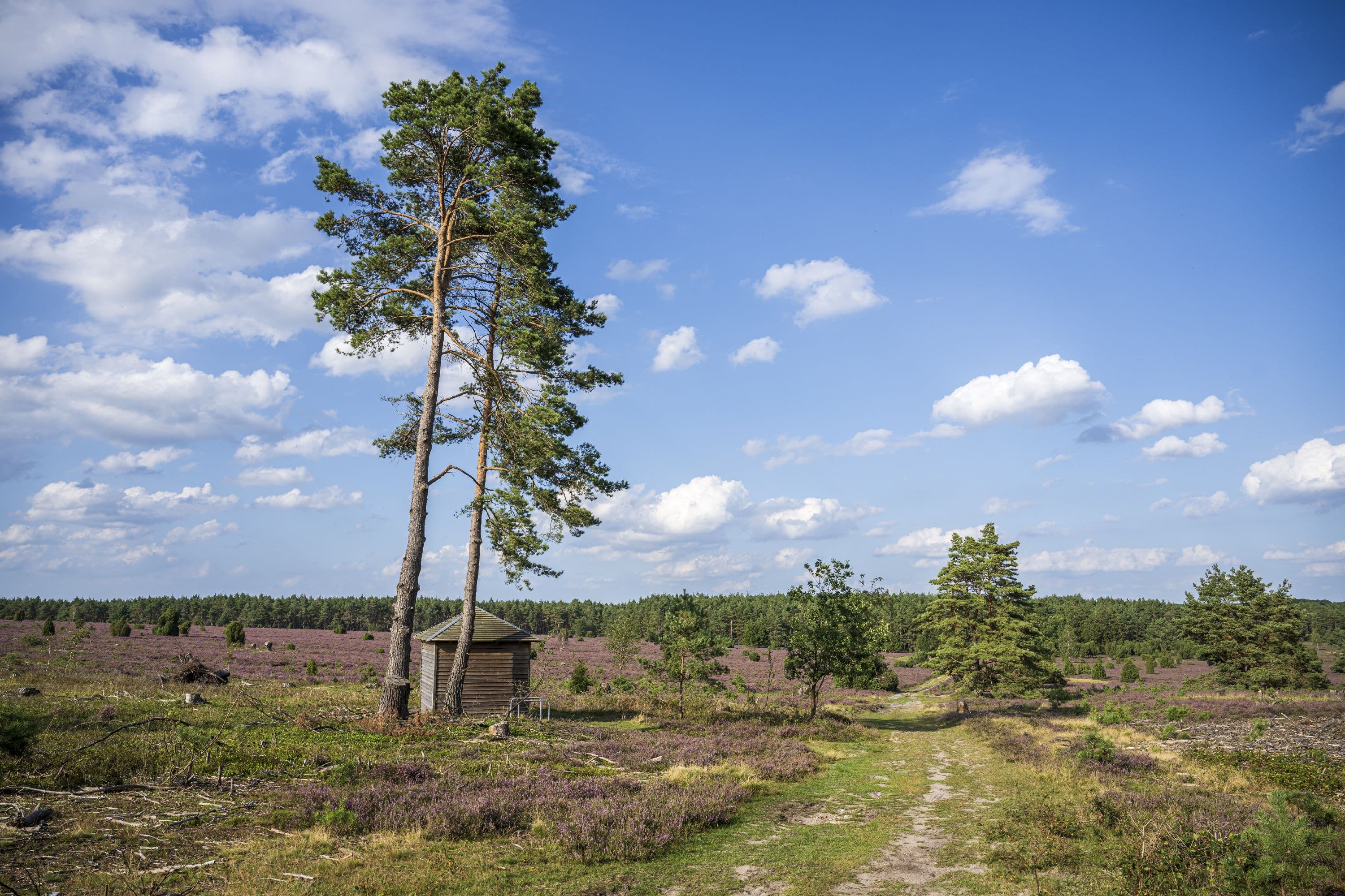Schutzhütten am Wegesrand bieten Schatten bei der Wanderung
