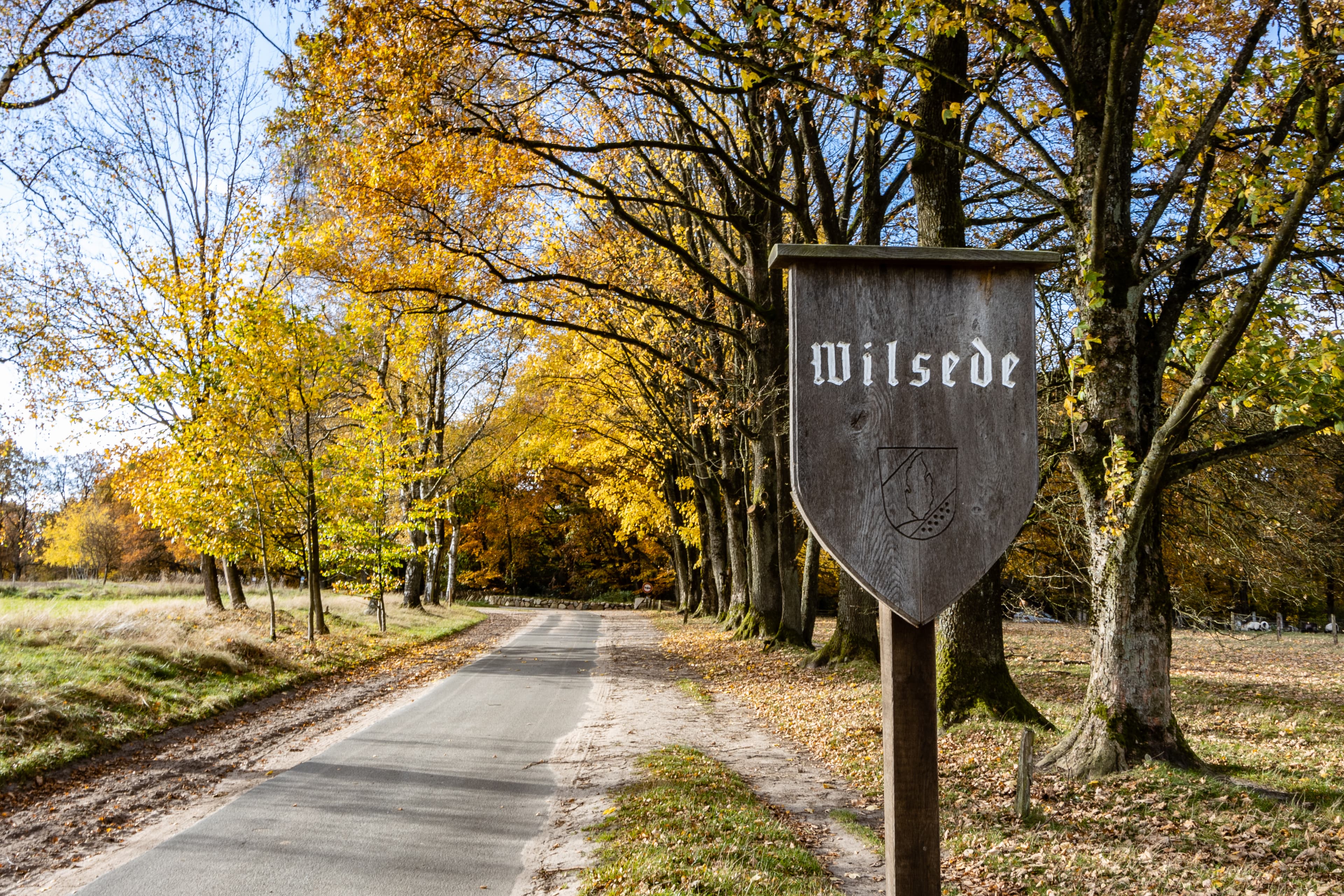 Bispingen Wilsede Herbst Lüneburger Heide