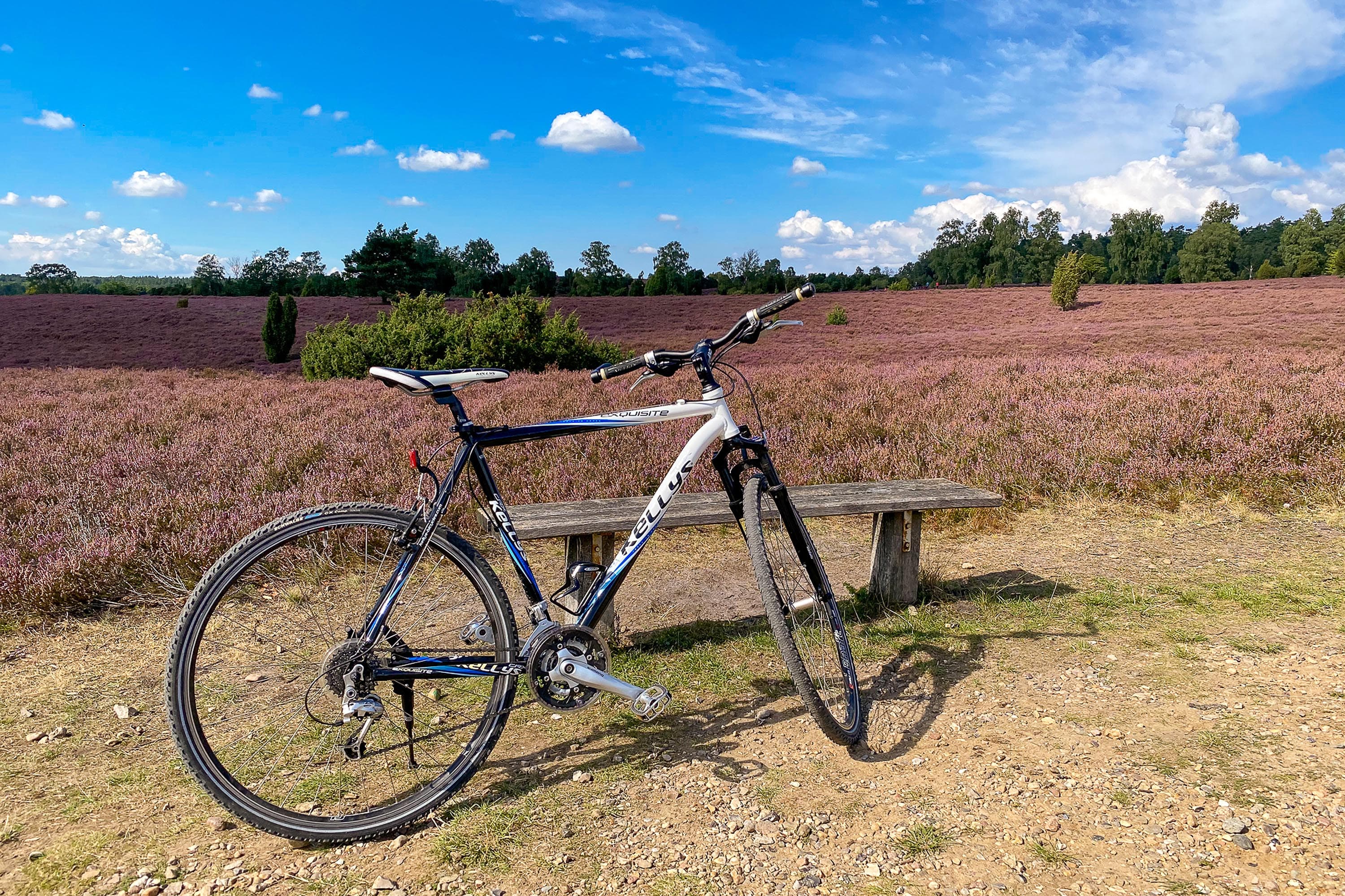 Gravelbike Touren durch die Heide