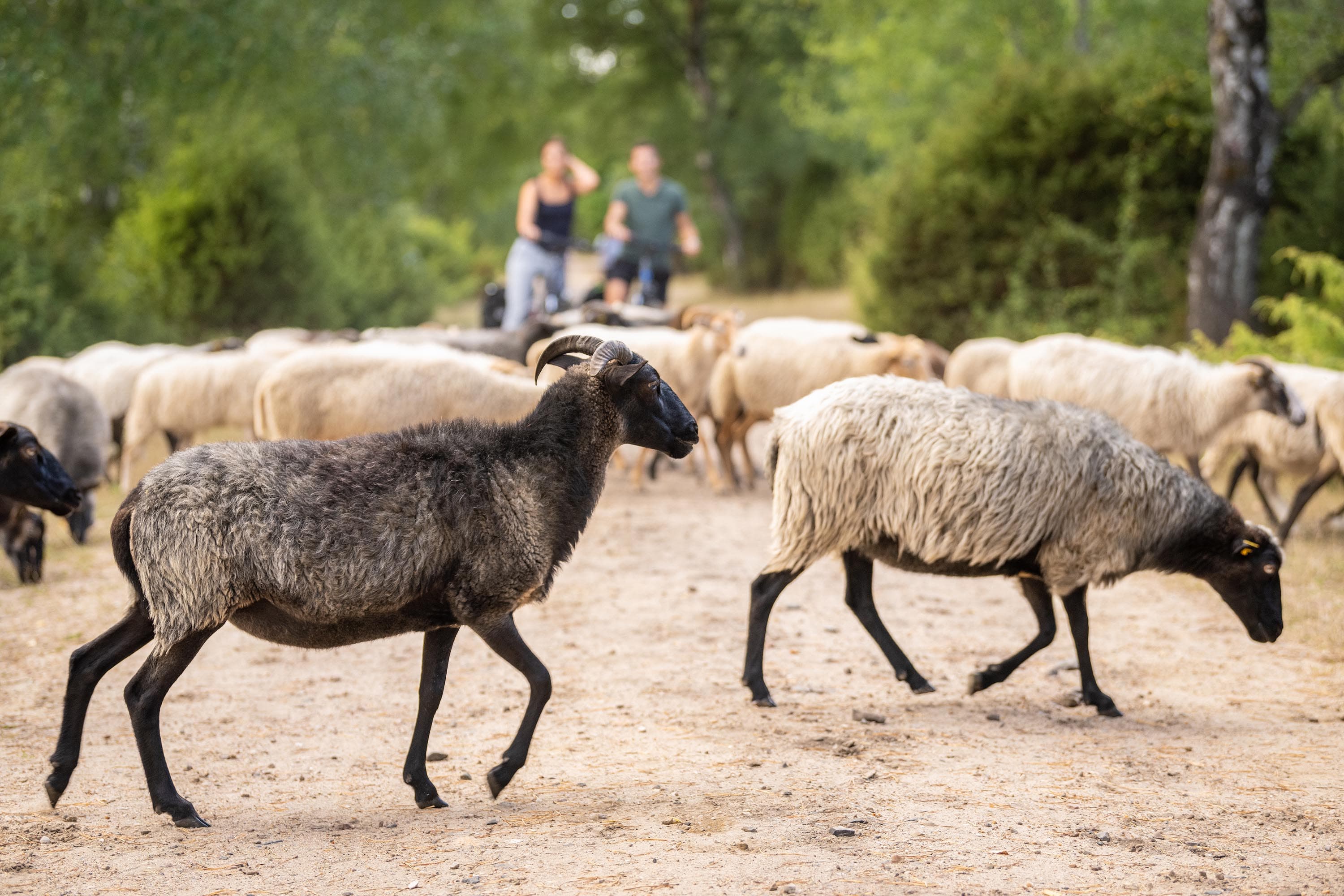 Sehenswürdigkeiten und Erlebnisse auf der Gravelbike Route