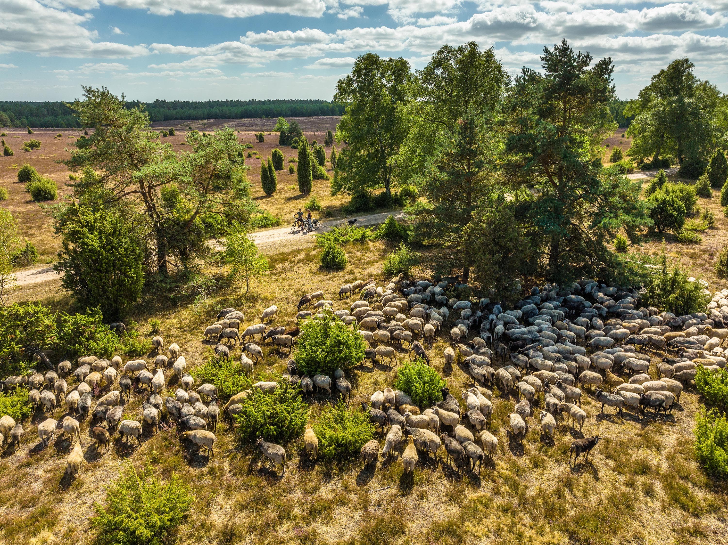 mit dem gravel bike unterwegs in der heide