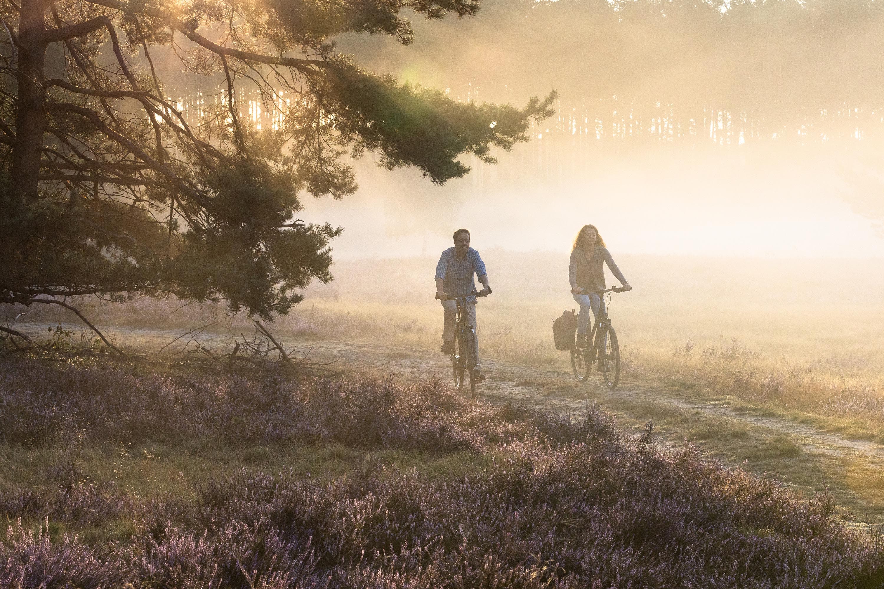 unterwegs mit dem Gravel Bike bei Sonnenaufgang