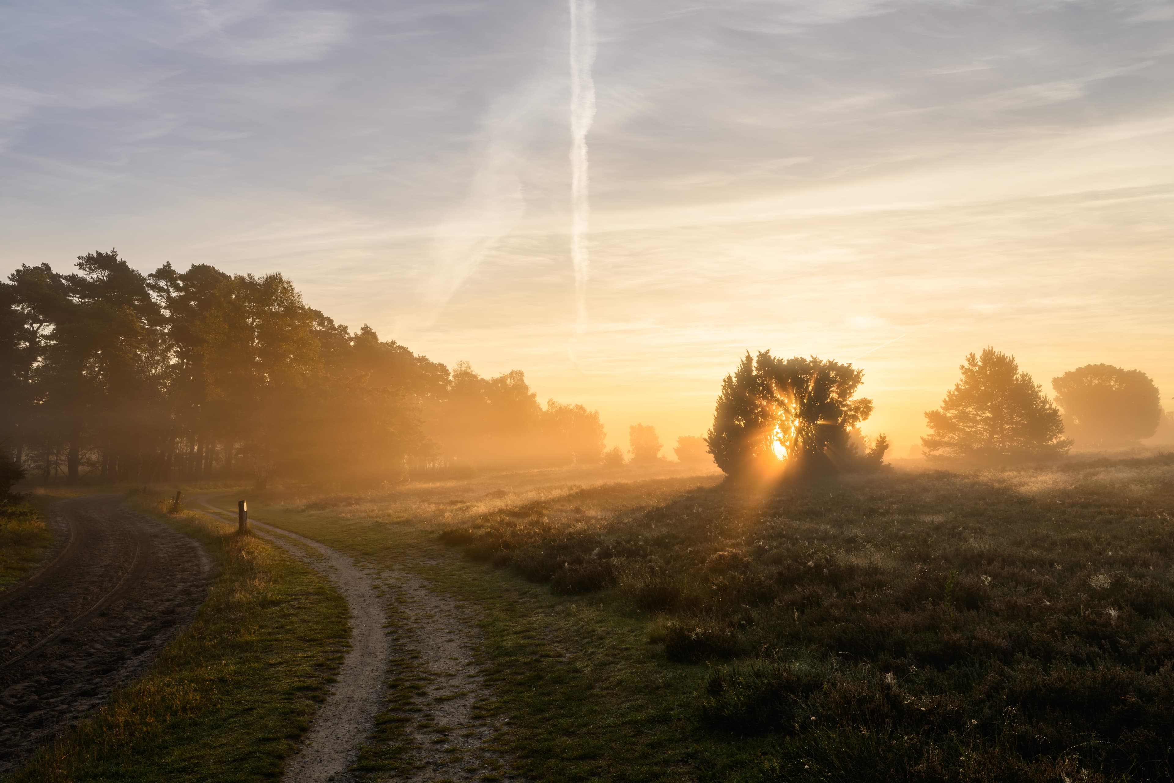 Wandern im Radenbachtal bei Undeloh Rundwanderweg MorgensonneHiking in the Radenbach valley near Undeloh Morning sun circular hiking trailVandring i Radenbach-dalen nær Undeloh Morgensol, cirkulær vandrestiWandelen in het Radenbachtal bij Undeloh Ochtendzon rondwandeling