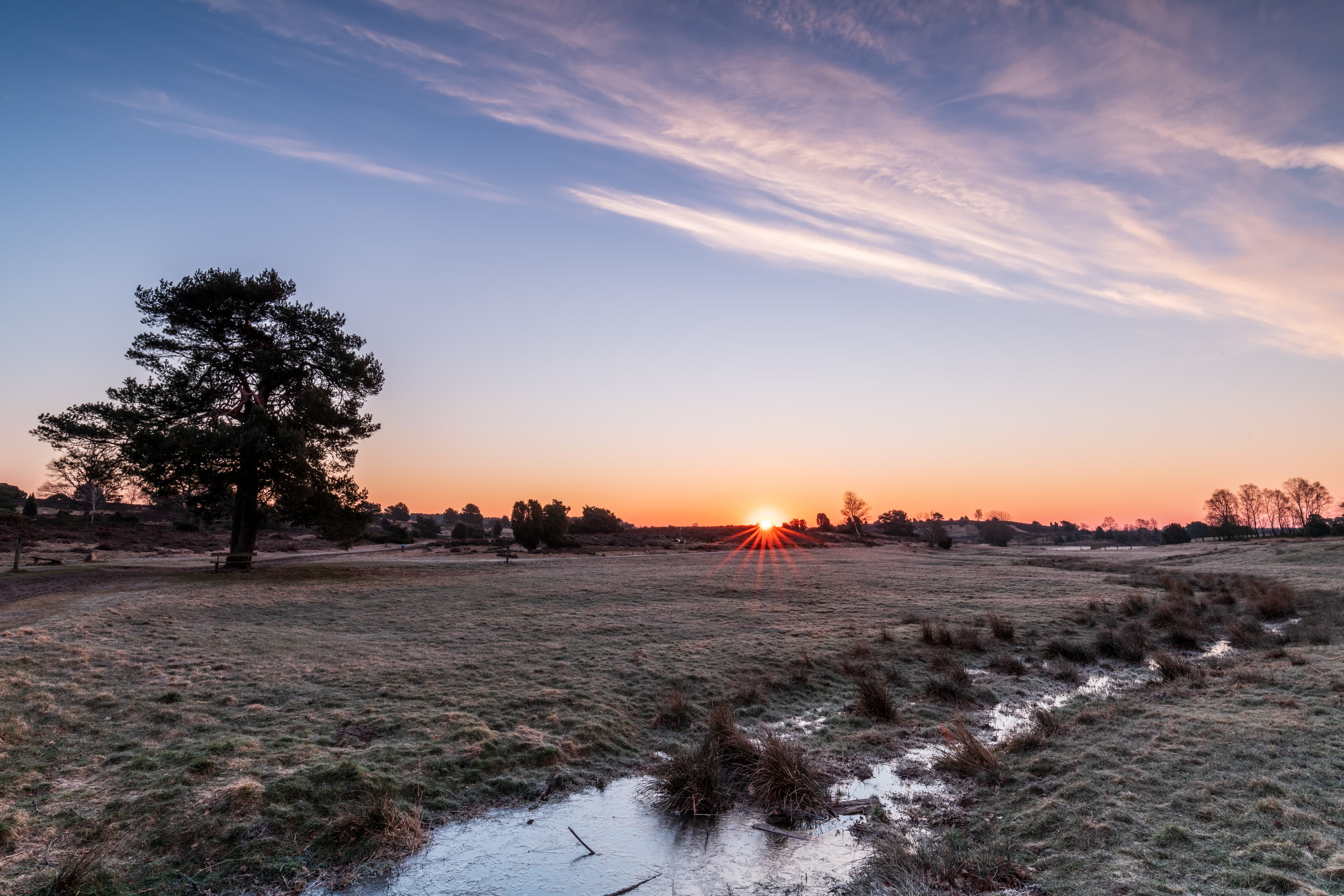 Wandern auf der Heideschleife RadenbachtalHiking on the Radenbachtal heath loopVandring på Radenbachtal hedesløjfeWandelen op de Radenbachtal heidelus
