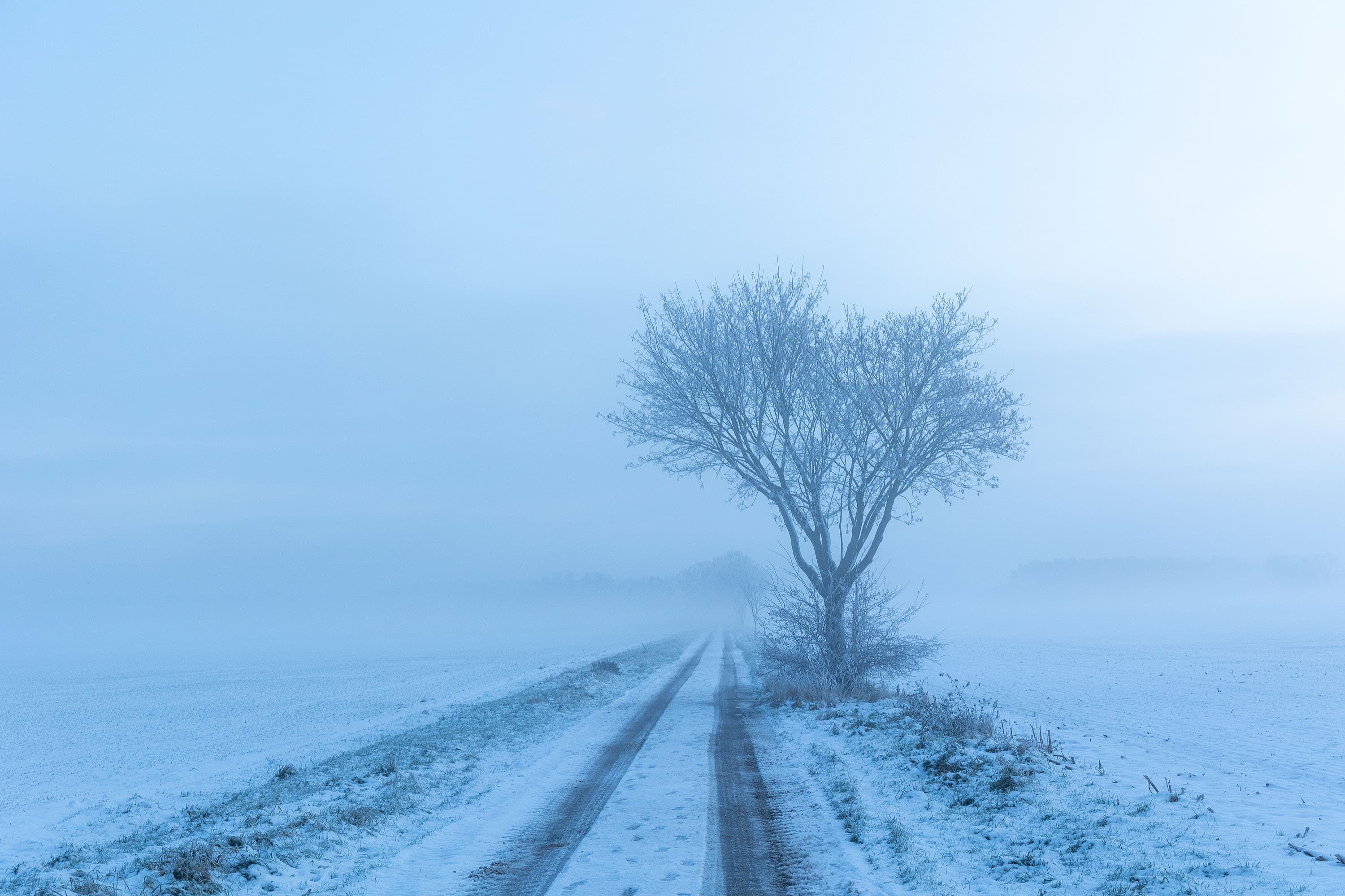 Becklinger Moor Schnee Frost Winter Südheide