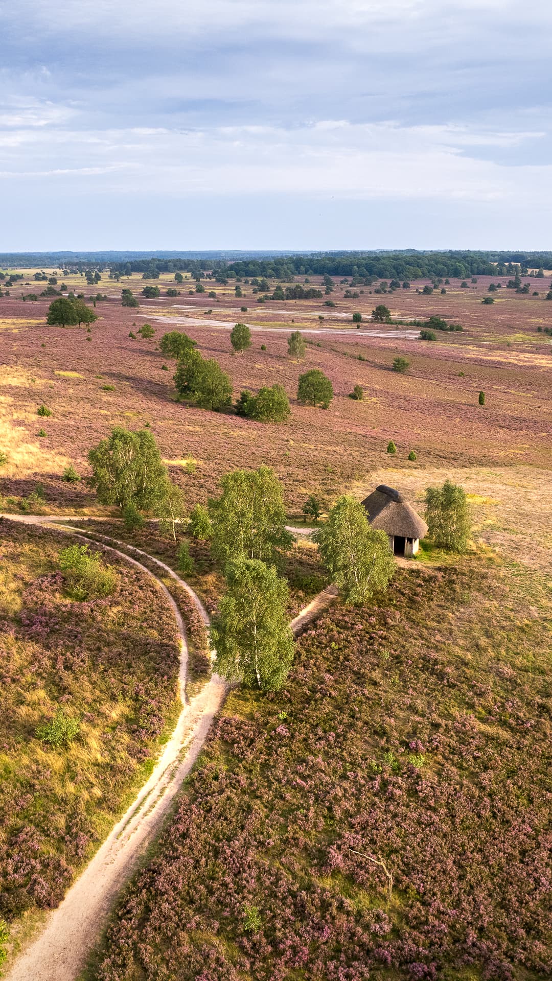 Sperrbildschirm Handy Foto kostenlos aus der Heide