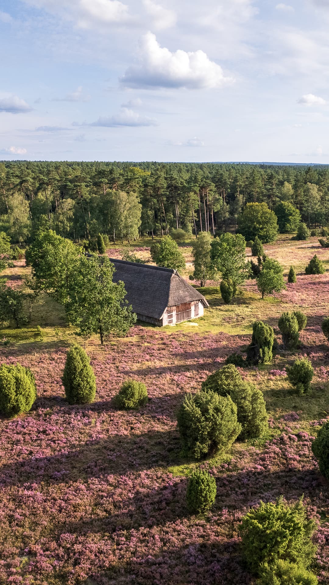 hintergrundbilder kostenlos handy android