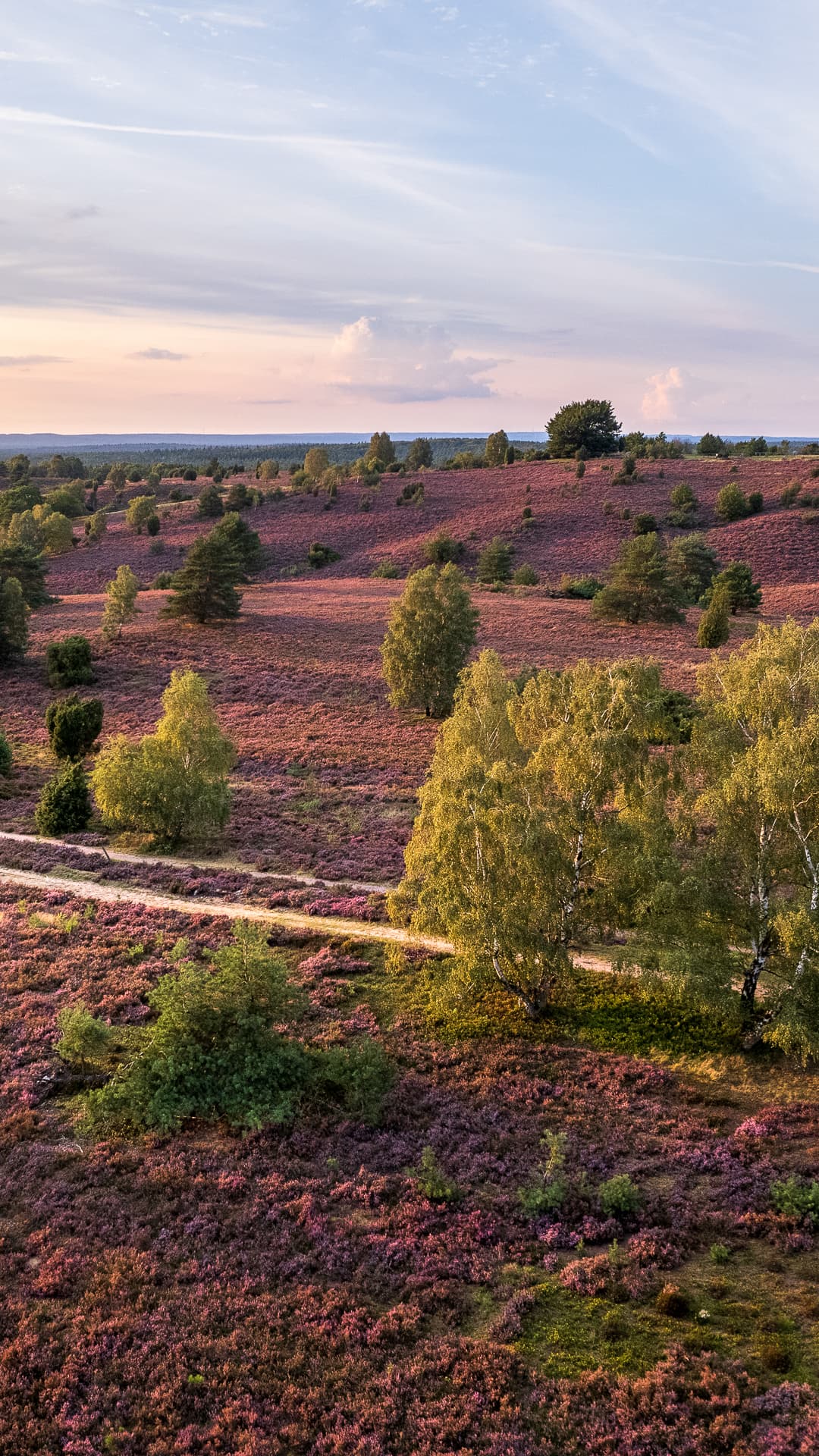 schöne hintergrundbilder handy kostenlos