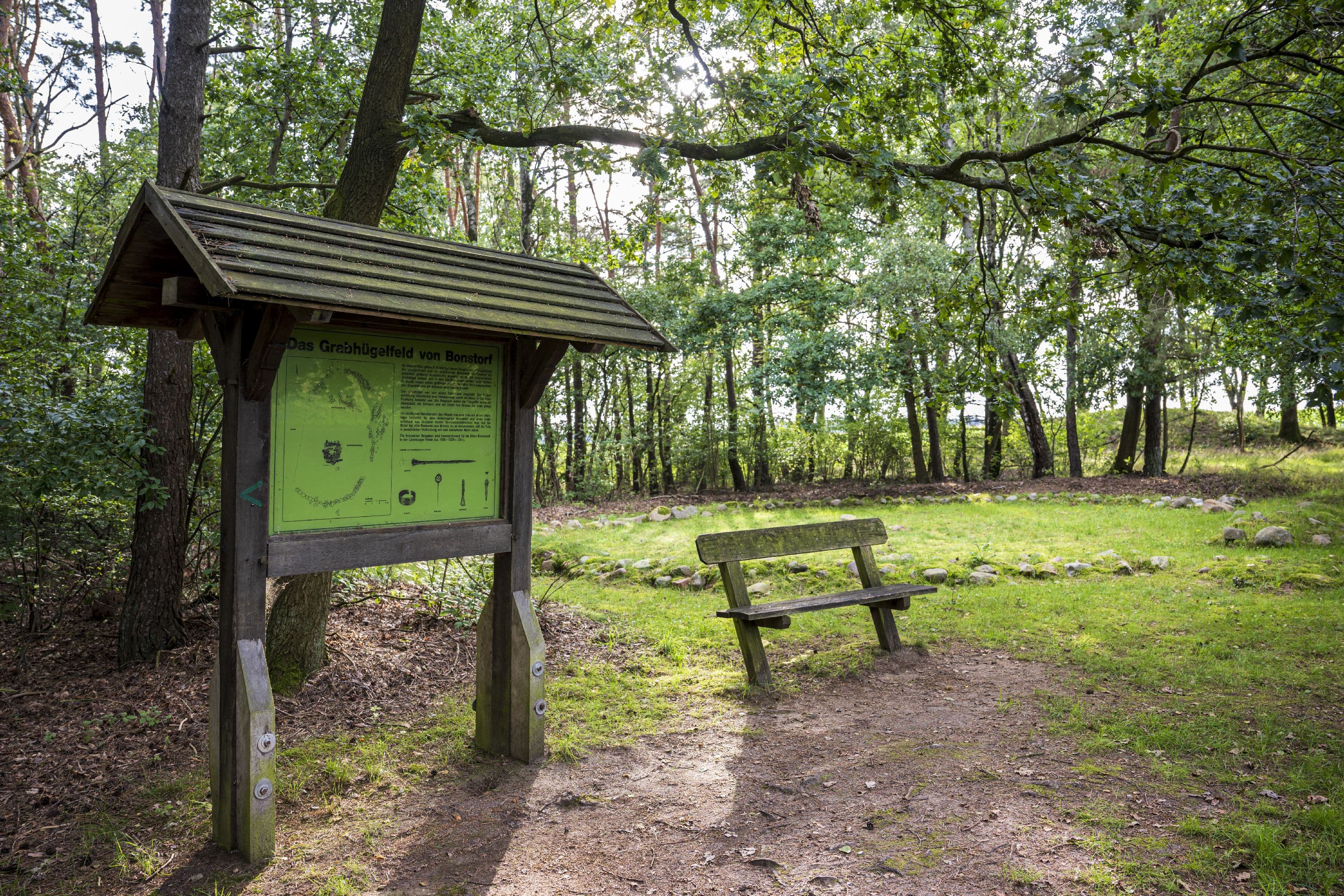 Am Wanderweg bieten Informationstafeln Infos zur Heidelandschaft