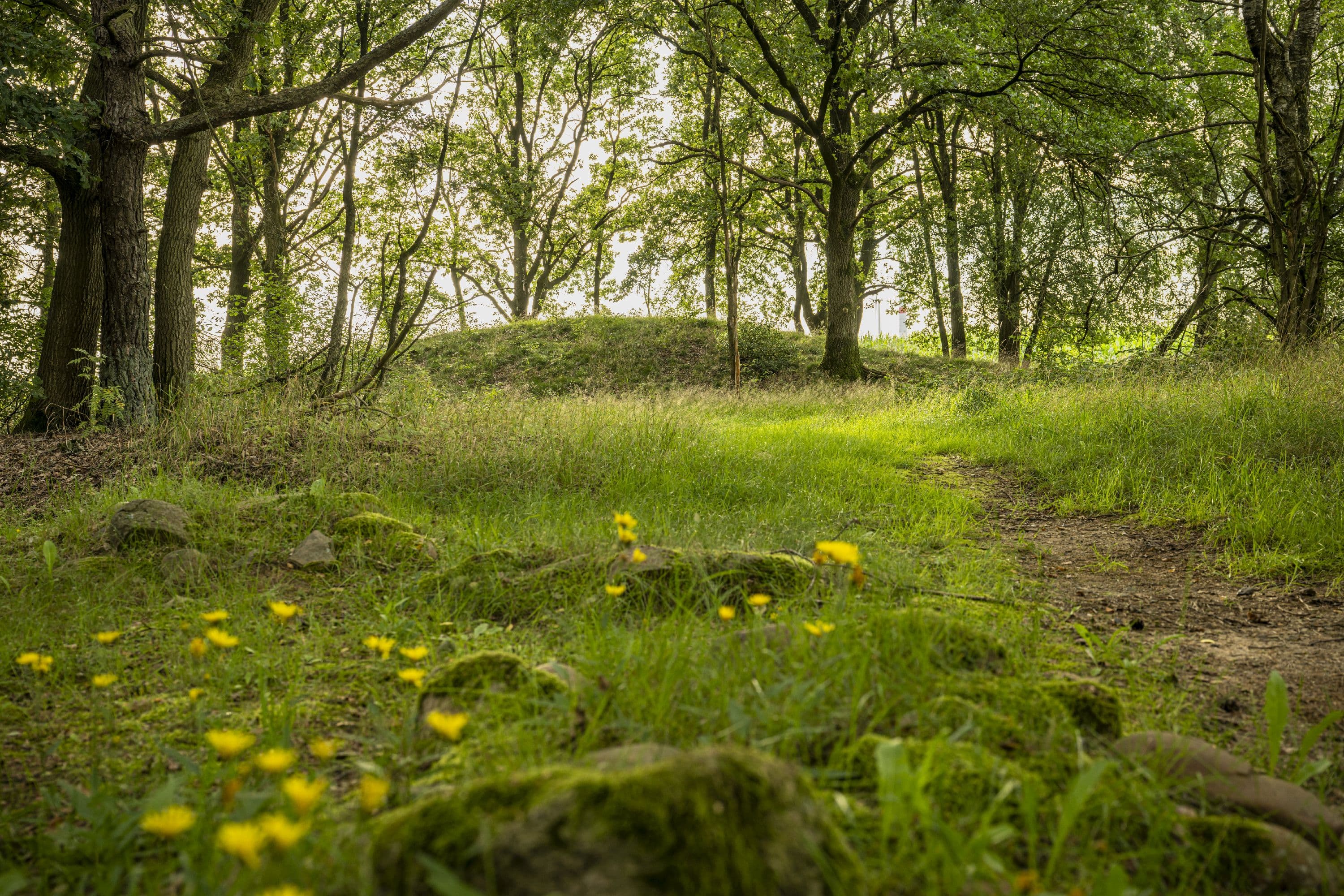 Wandern auf schmalen Pfaden auf den Wietzer Berg