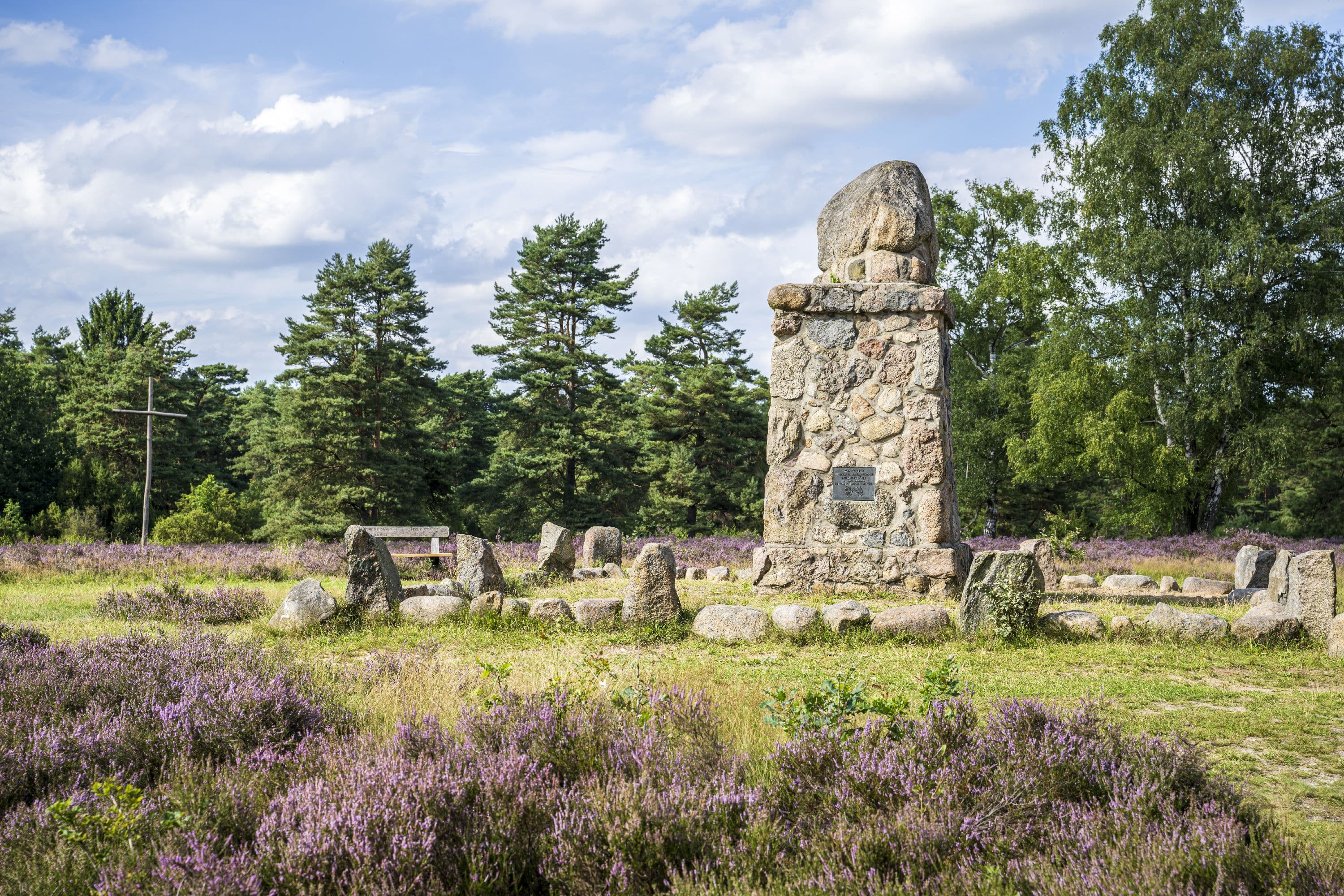 Hermann Löns liebte die Heidelandschaft am Wietzer Berg