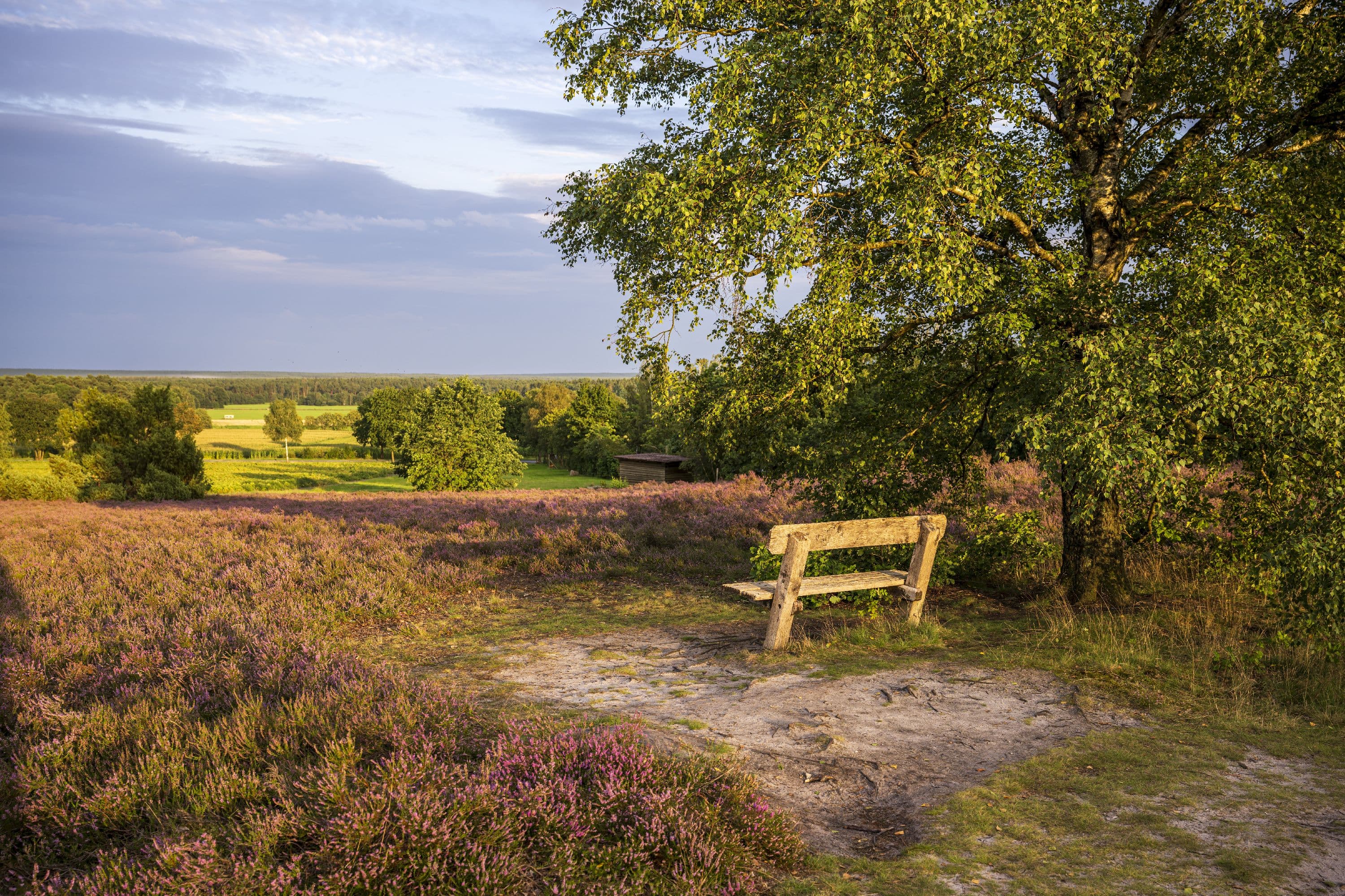 Wandern bei traumhafter Weitsicht auf dem Wietzer Berg