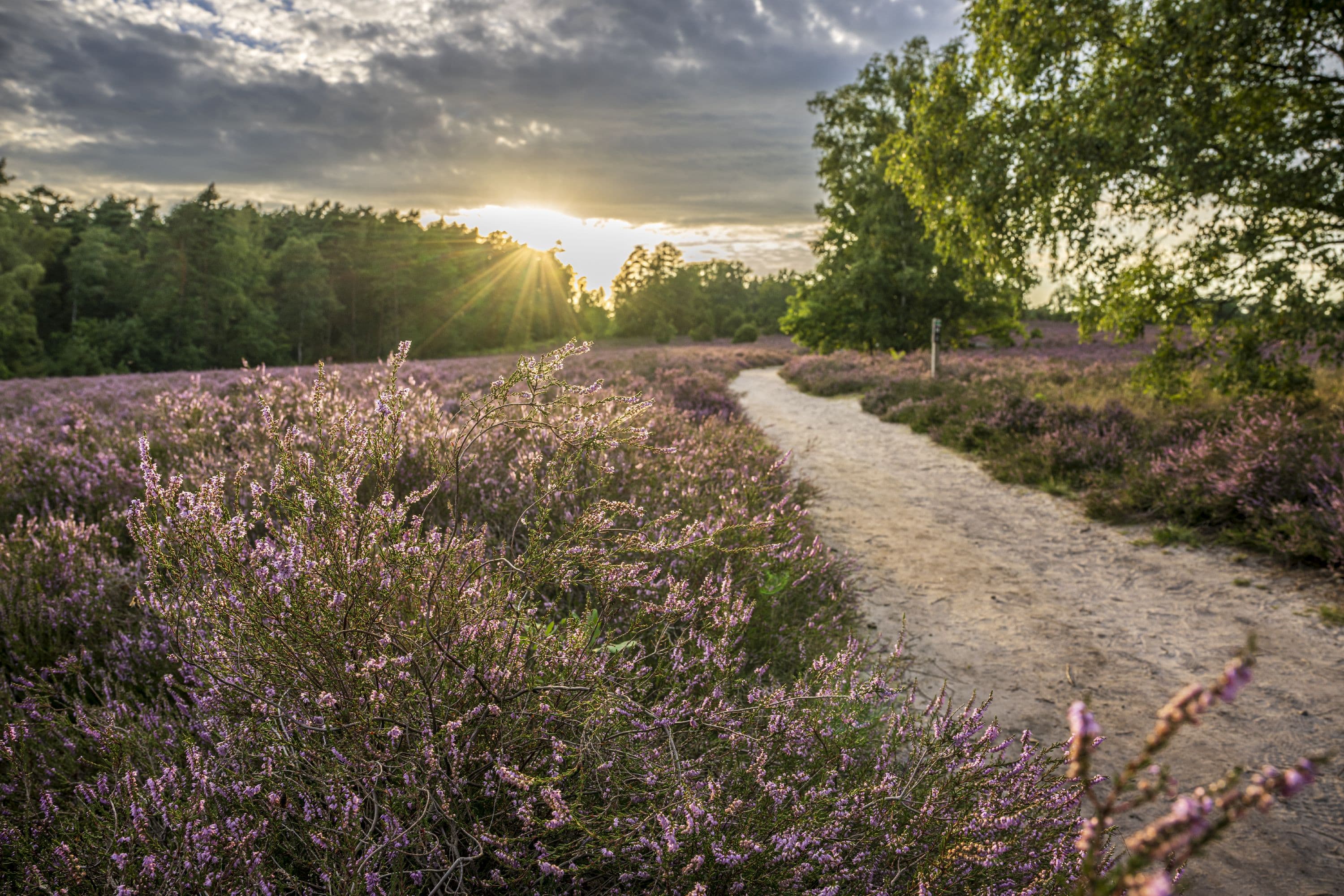Wandern im Sonnenaufgang auf dem Wietzer Berg