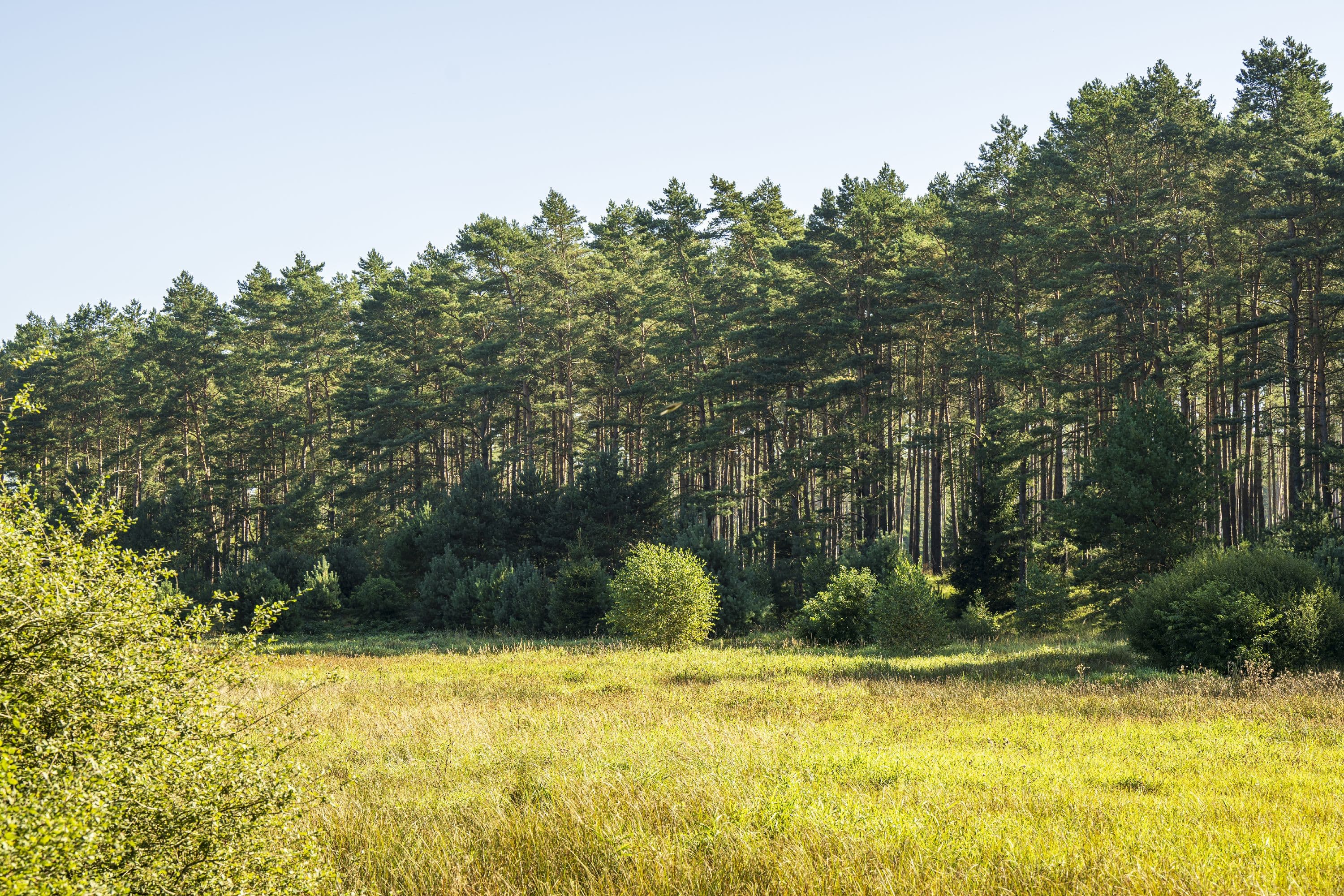 Wandern entlang weiter Moorlandschaften